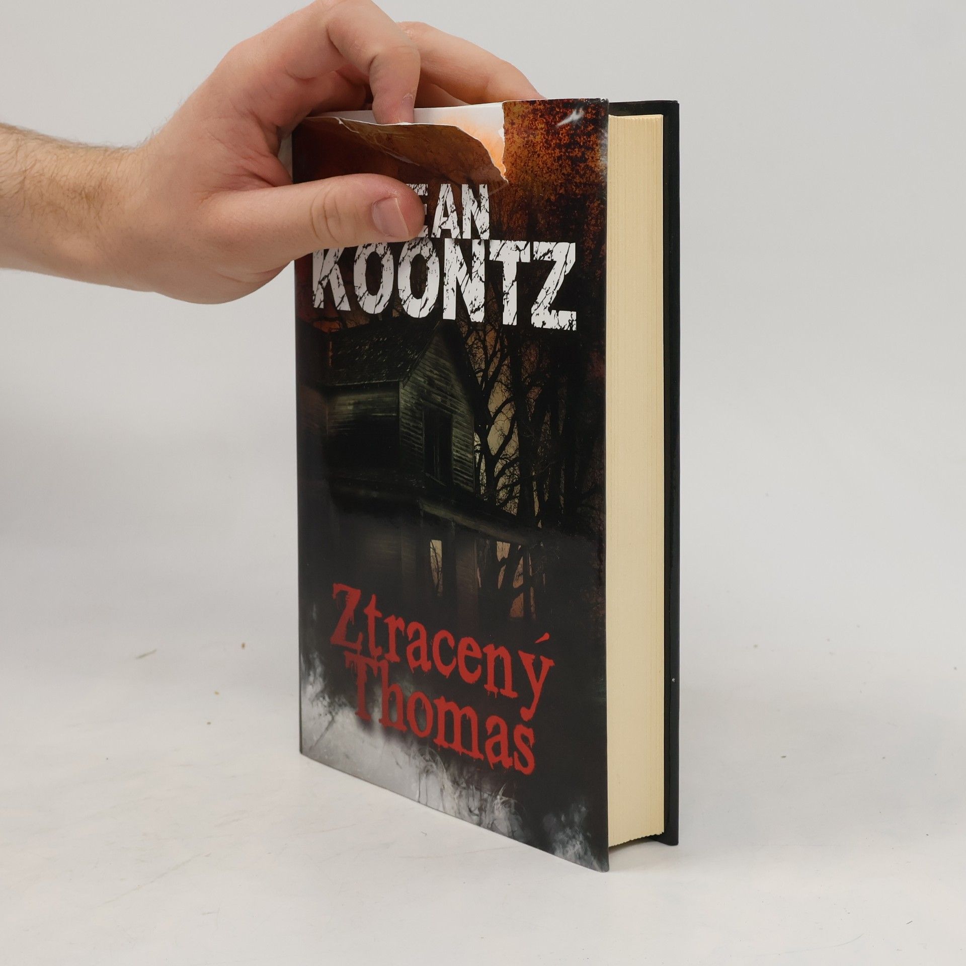 Dean Ray Koontz Ztracený Thomas