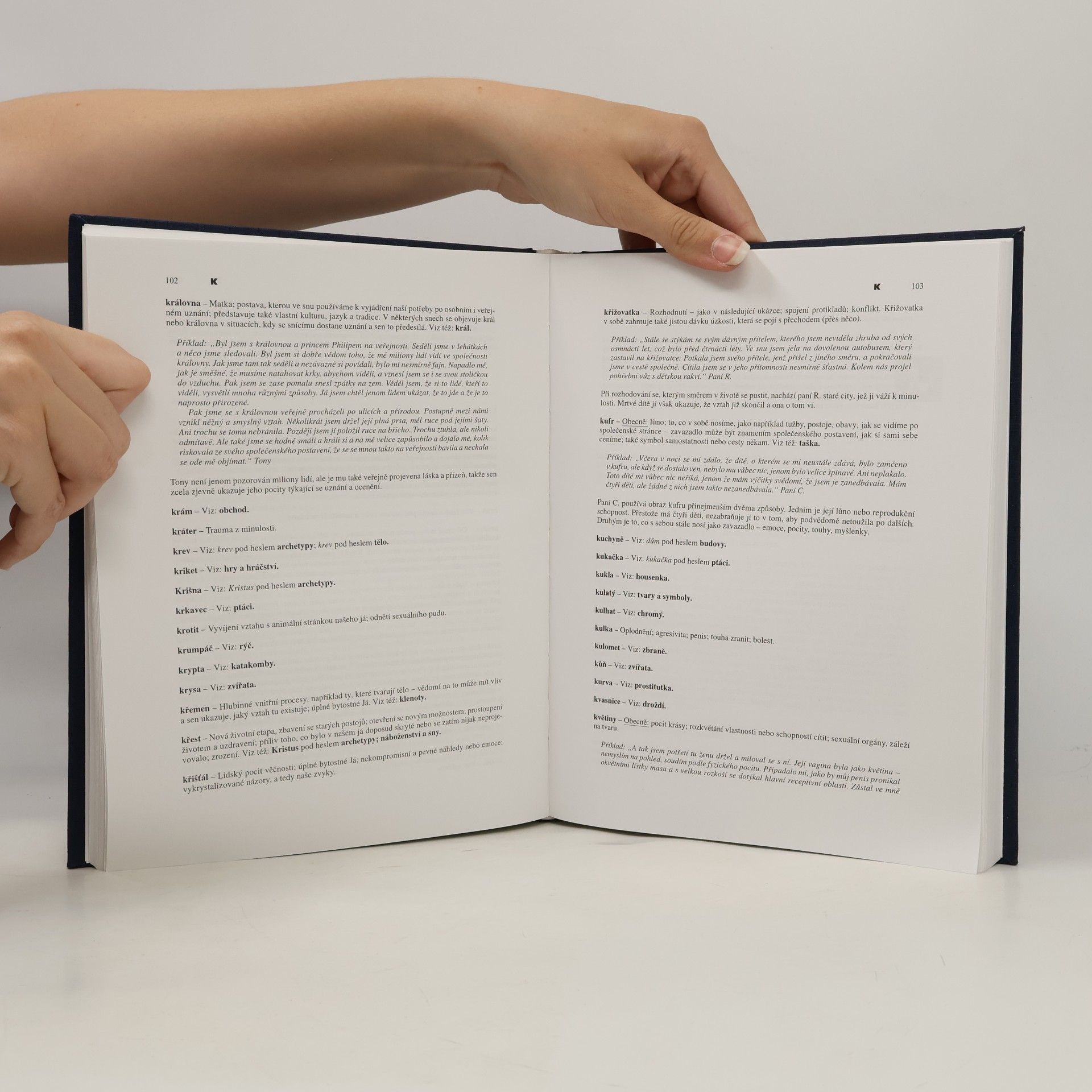 Tony Crisp Moderní snář. Jak porozumět svým snům