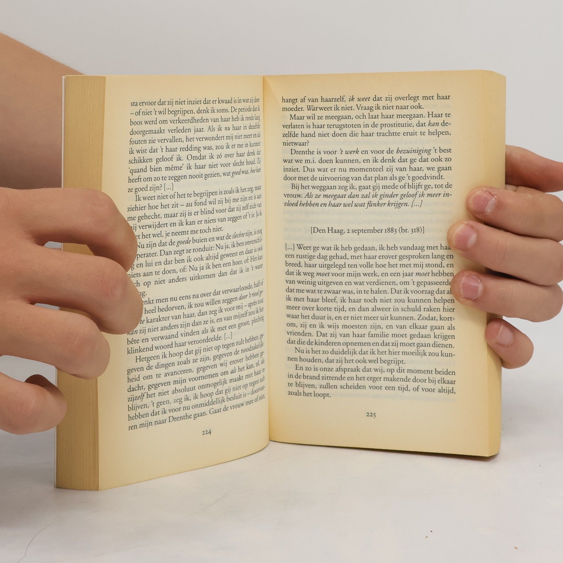 Vincent van Gogh Rainbow pocketboeken - 364: Vincent van Gogh