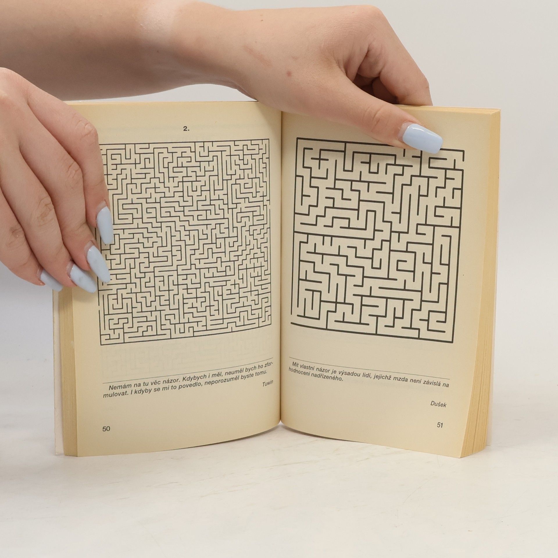 Various authors IQ mensa 1. Briliantové mozky