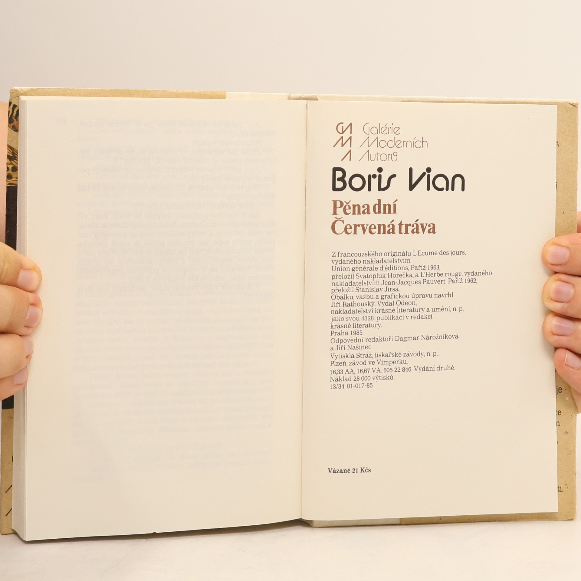 Boris Vian Pěna dní. Červená tráva
