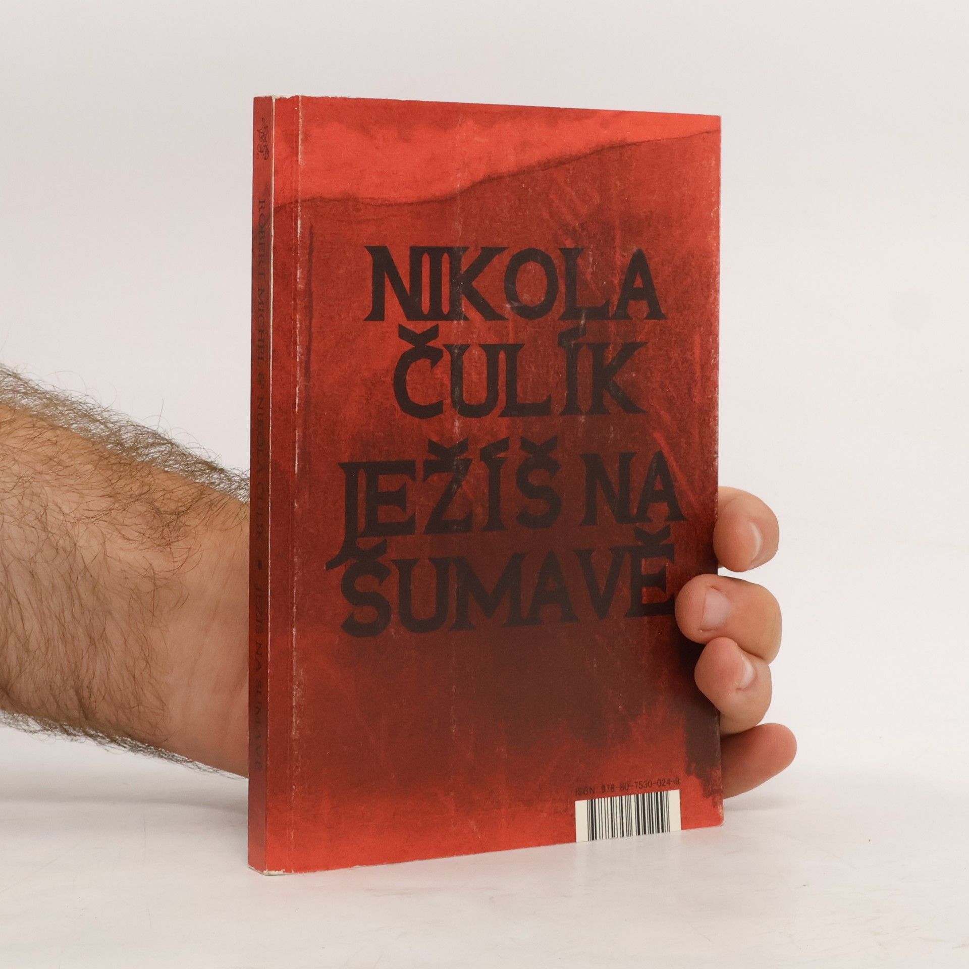 Robert Michel Ježíš na Šumavě