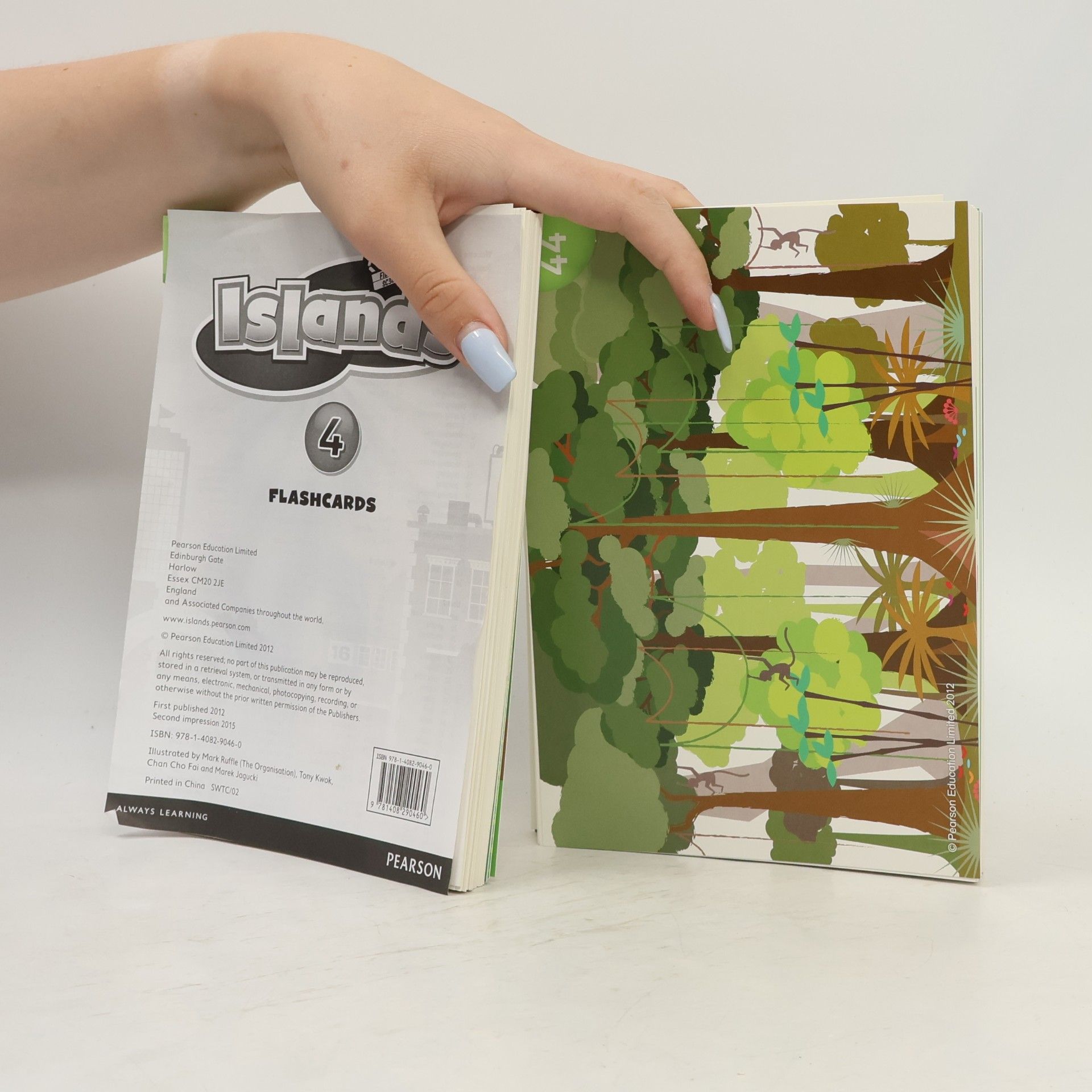 Kolektiv autorů Islands Level 4 Flashcards for Pack