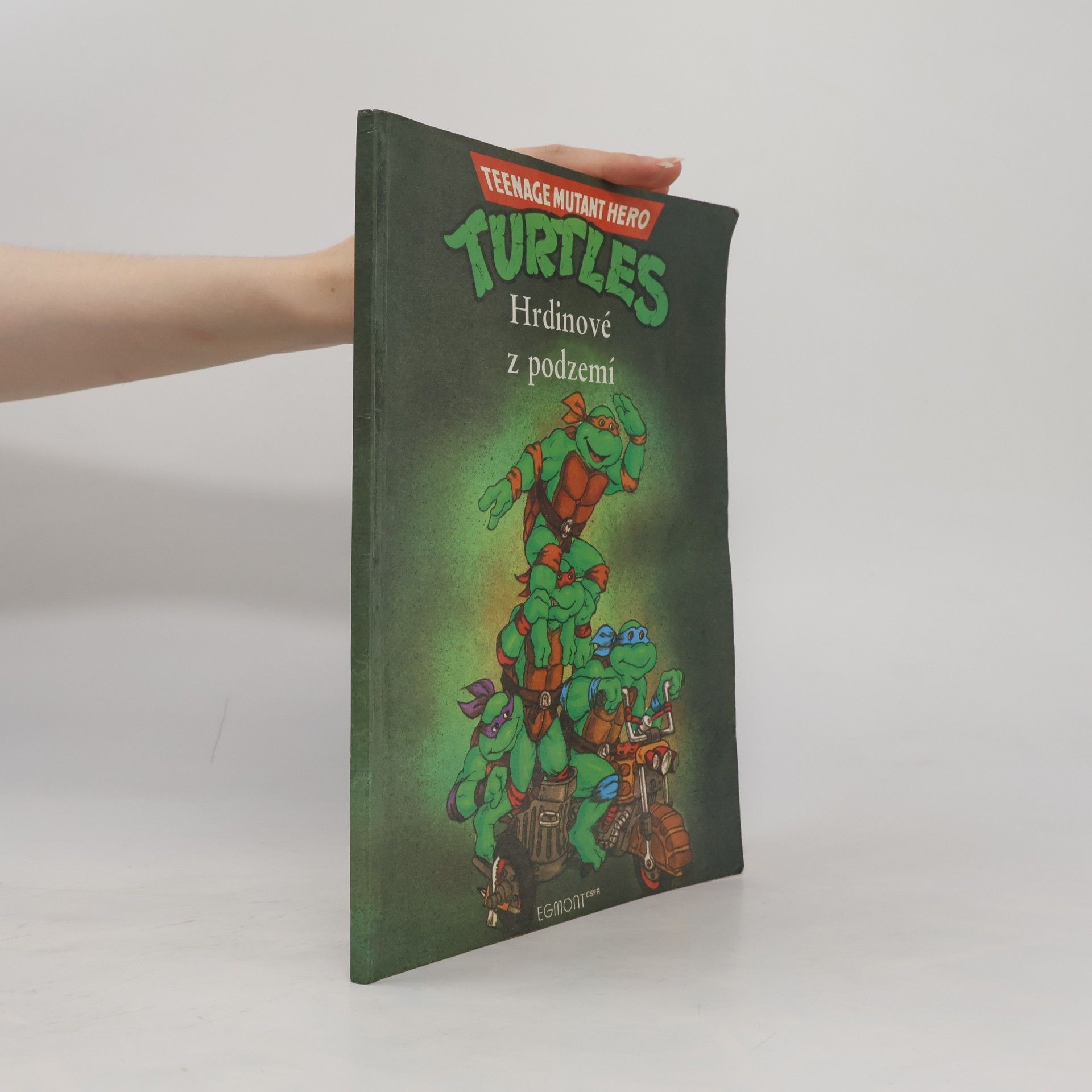 Maureen Spurgeon Teenage Mutant Ninja Turtles. Hrdinové z podzemí