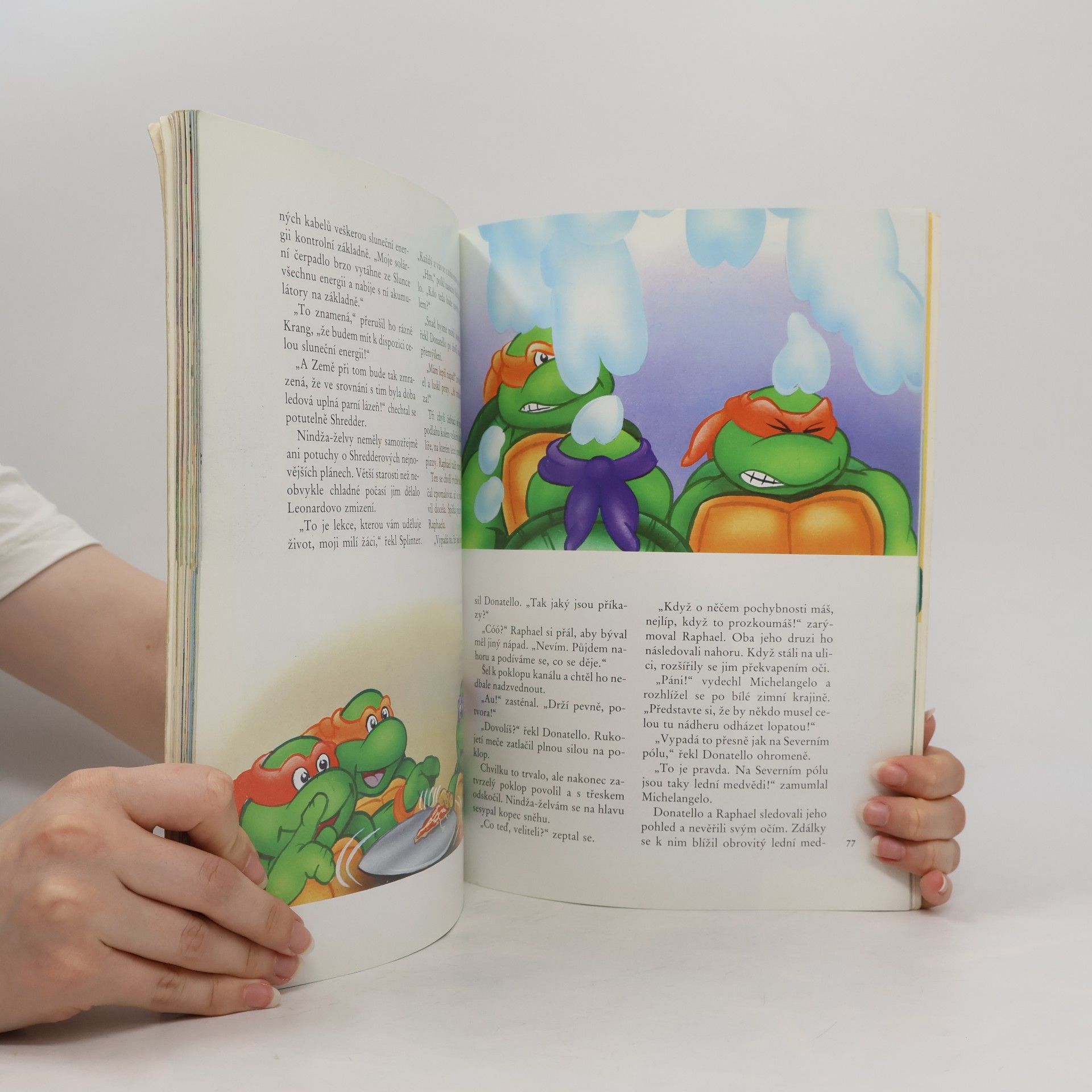 Maureen Spurgeon Teenage Mutant Ninja Turtles. Hrdinové z podzemí