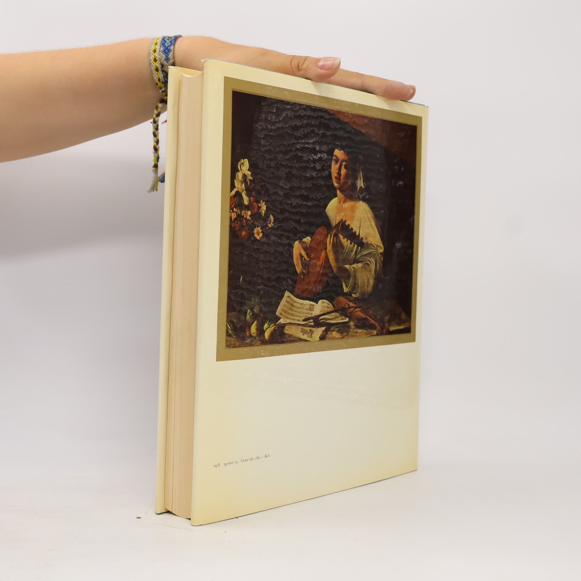 Various authors Obrazy z Ermitáže. Malířství 17. a 18. století