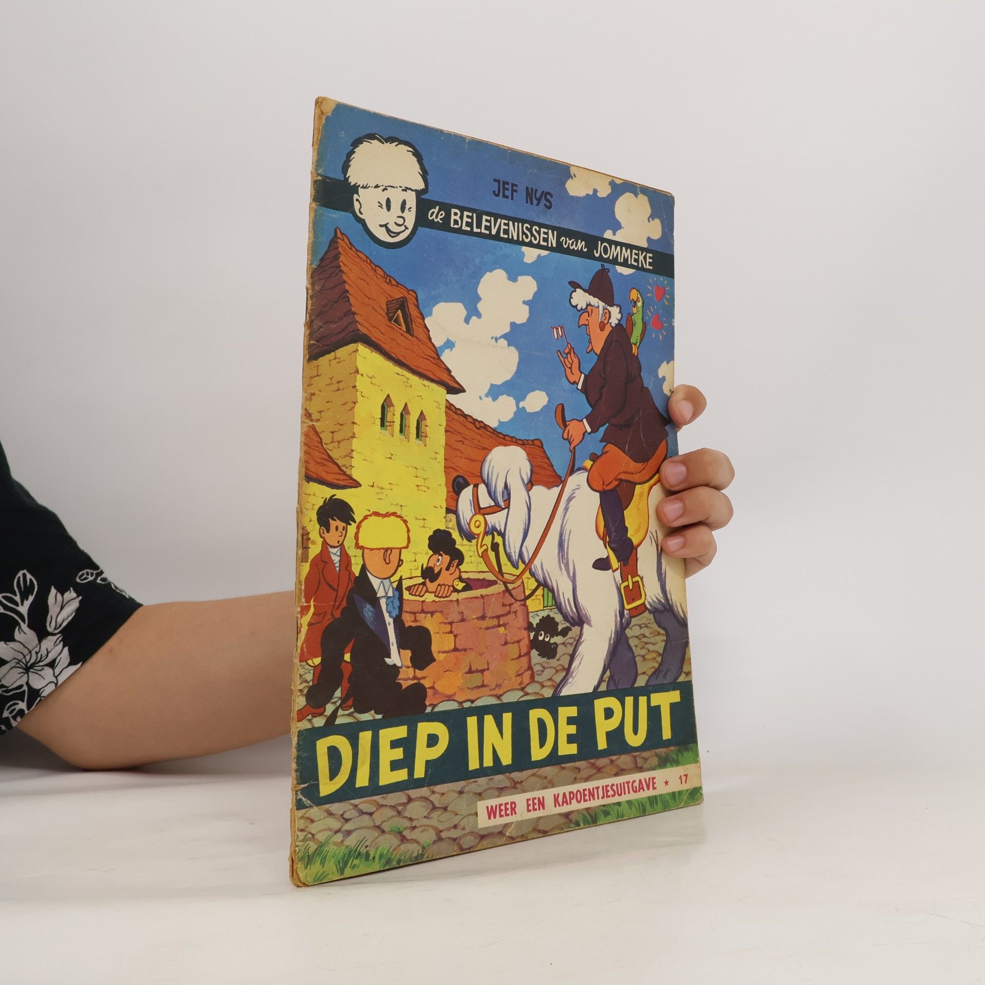 Diep in de Put