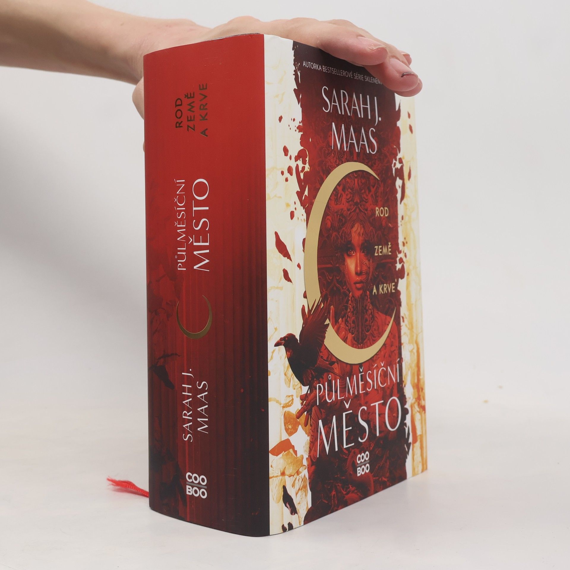 Sarah J. Maas Rod země a krve