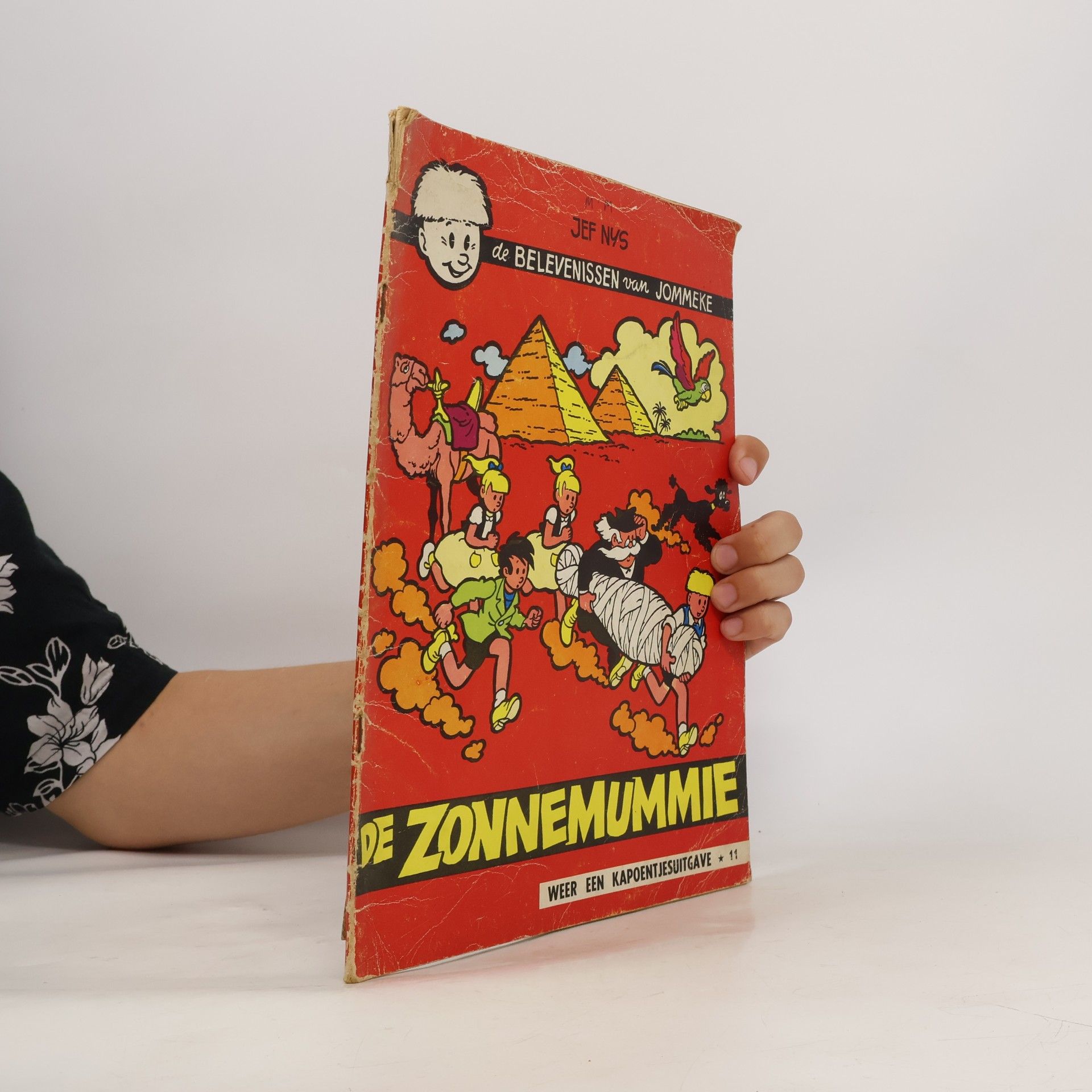 De zonnemummie