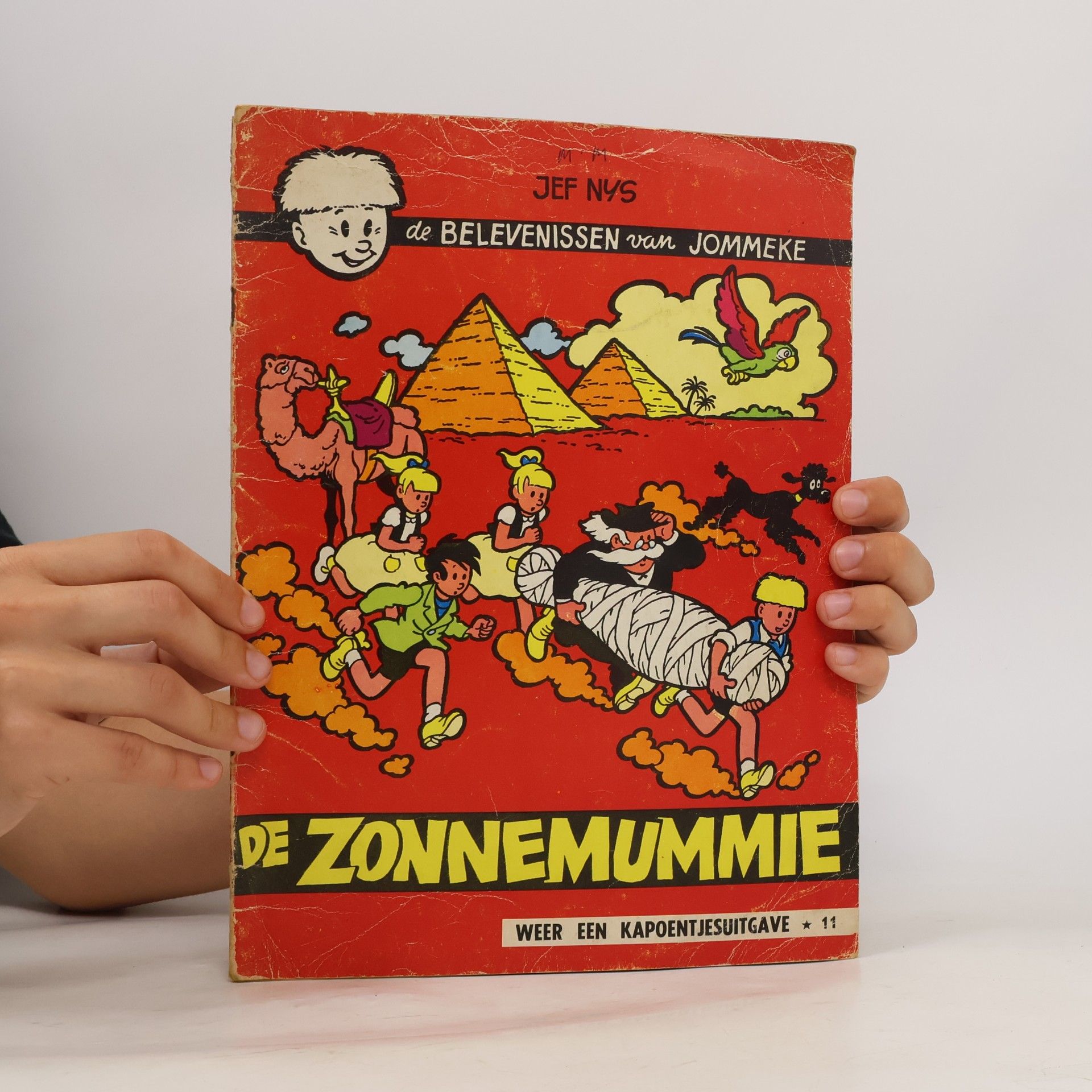 Jef Nys De zonnemummie