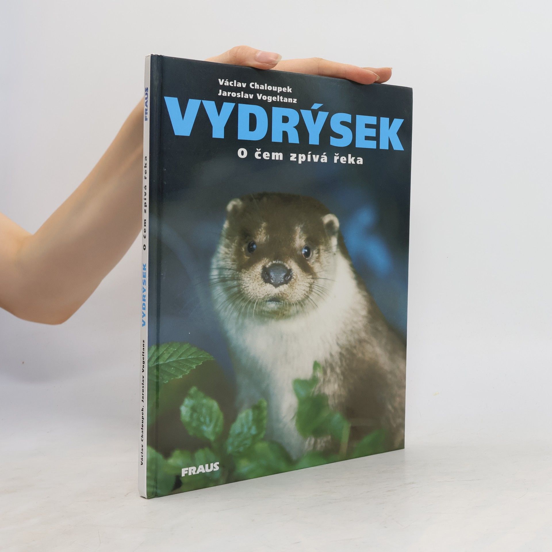 Jaroslav Vogeltanz Vydrýsek. O čem zpívá řeka
