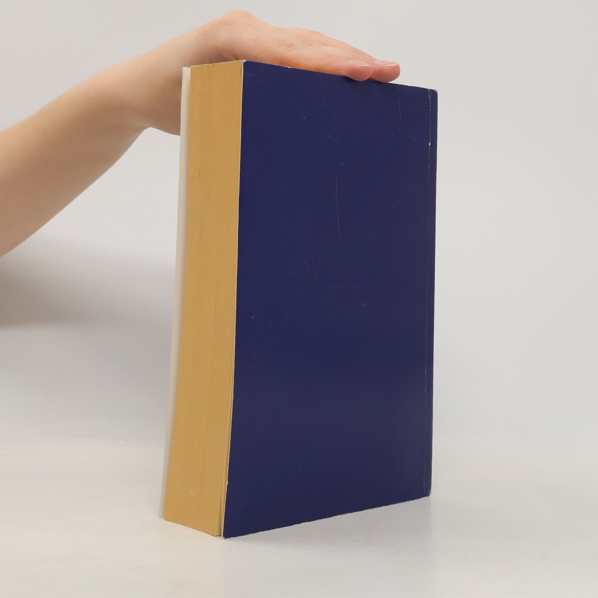 The South African Institute of Chartered Accountants Member's Handbook