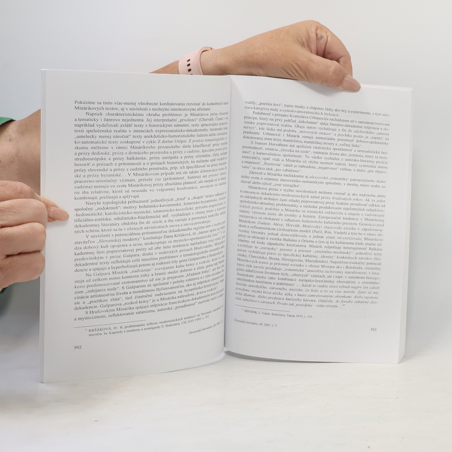 Autorenkollektiv Slovenská literatúra 5/2001