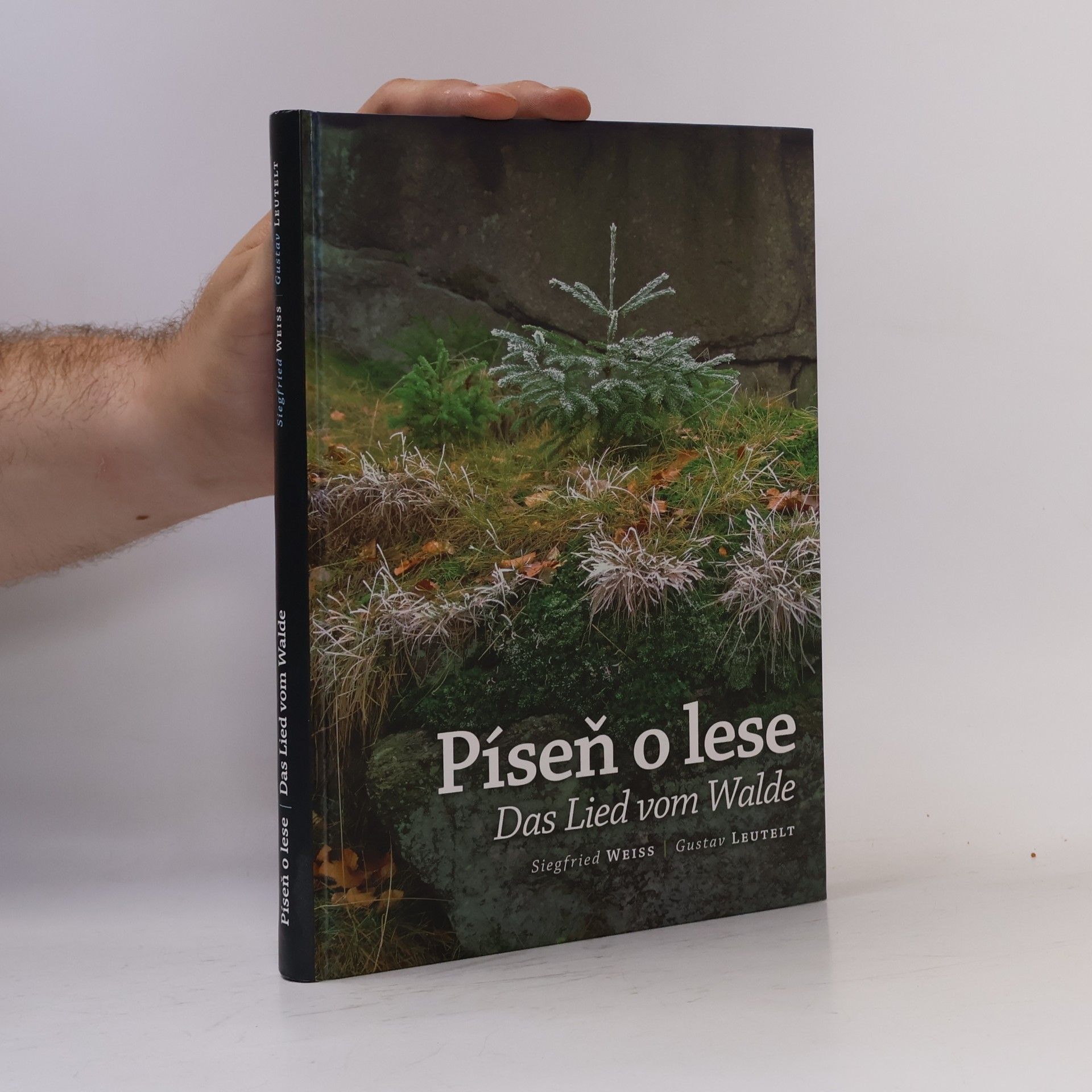 Píseň o lese = Das Lied vom Walde