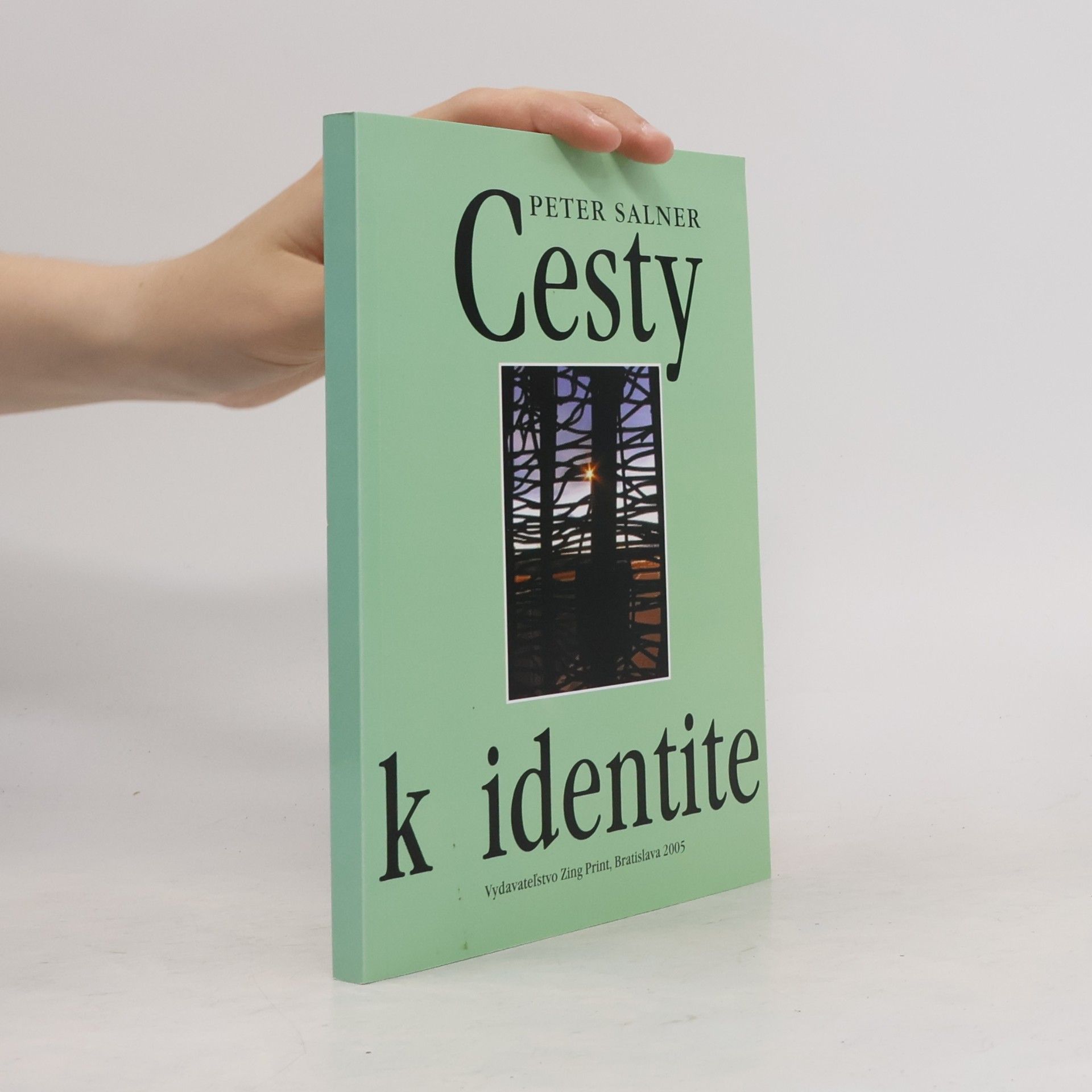 Peter Salner Cesty k identite
