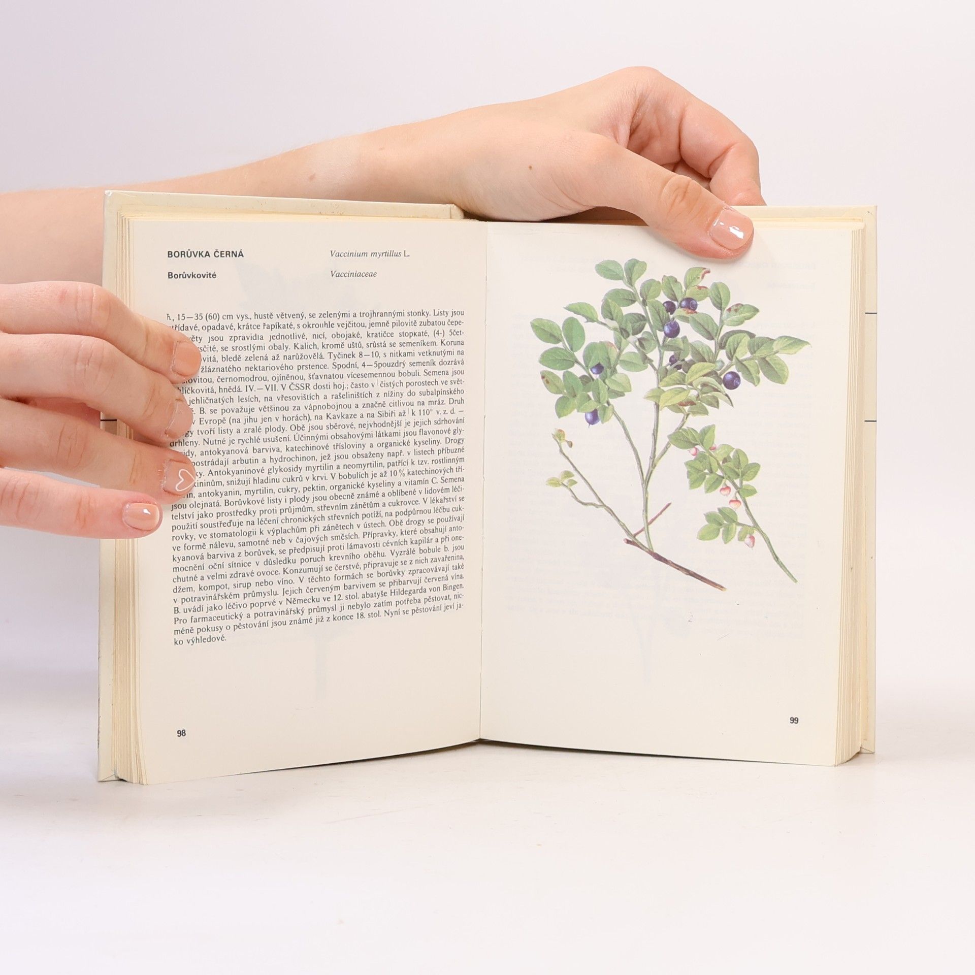 Václav Jirásek Kapesní atlas léčivých rostlin