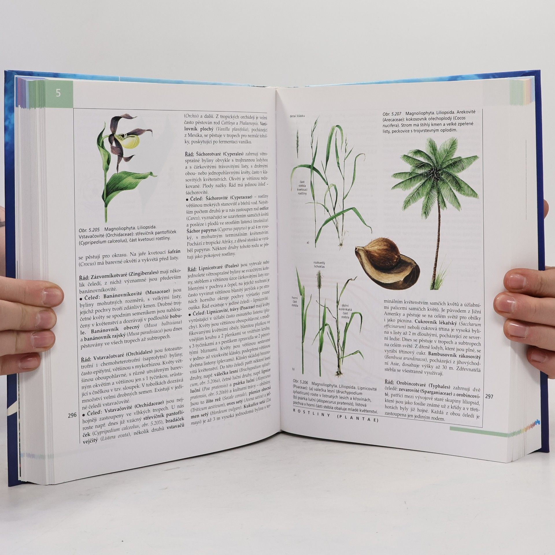 Stanislav Rosypal Nový přehled biologie