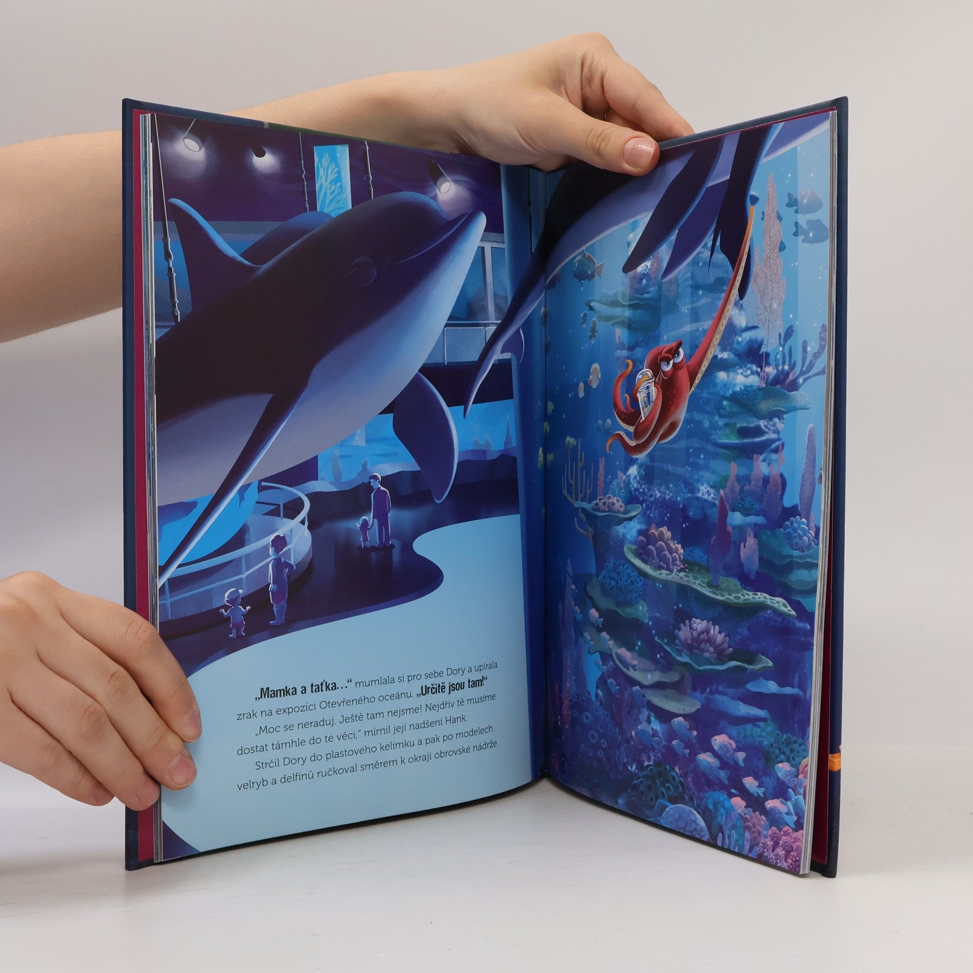 Walt Disney Hledá se Dory - Zlatá kniha