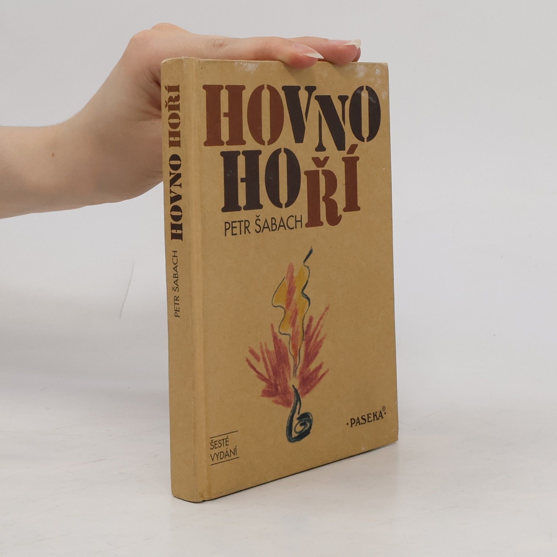 Petr Šabach Hovno hoří