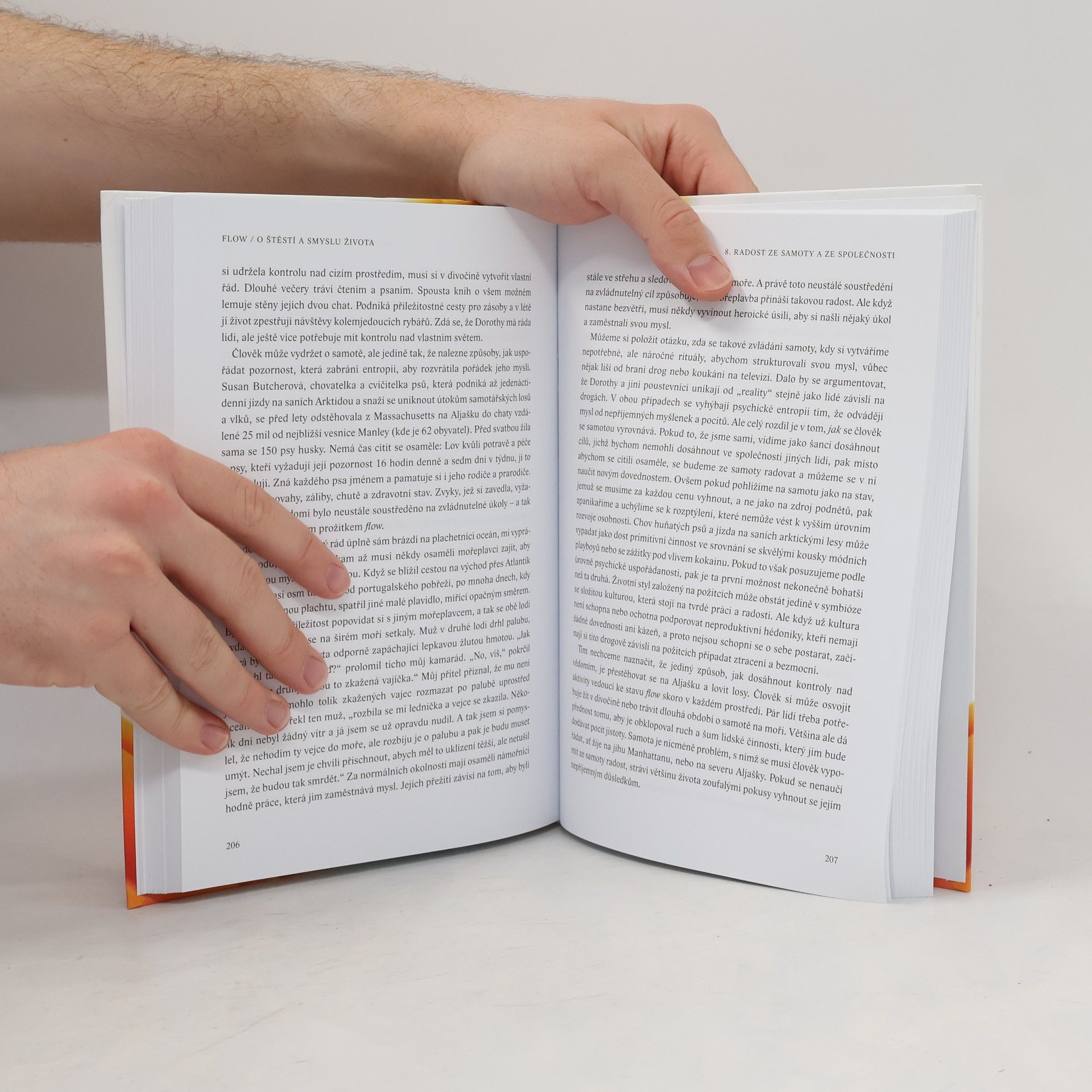 Mihaly Csikszentmihalyi Flow, o štěstí a smyslu života