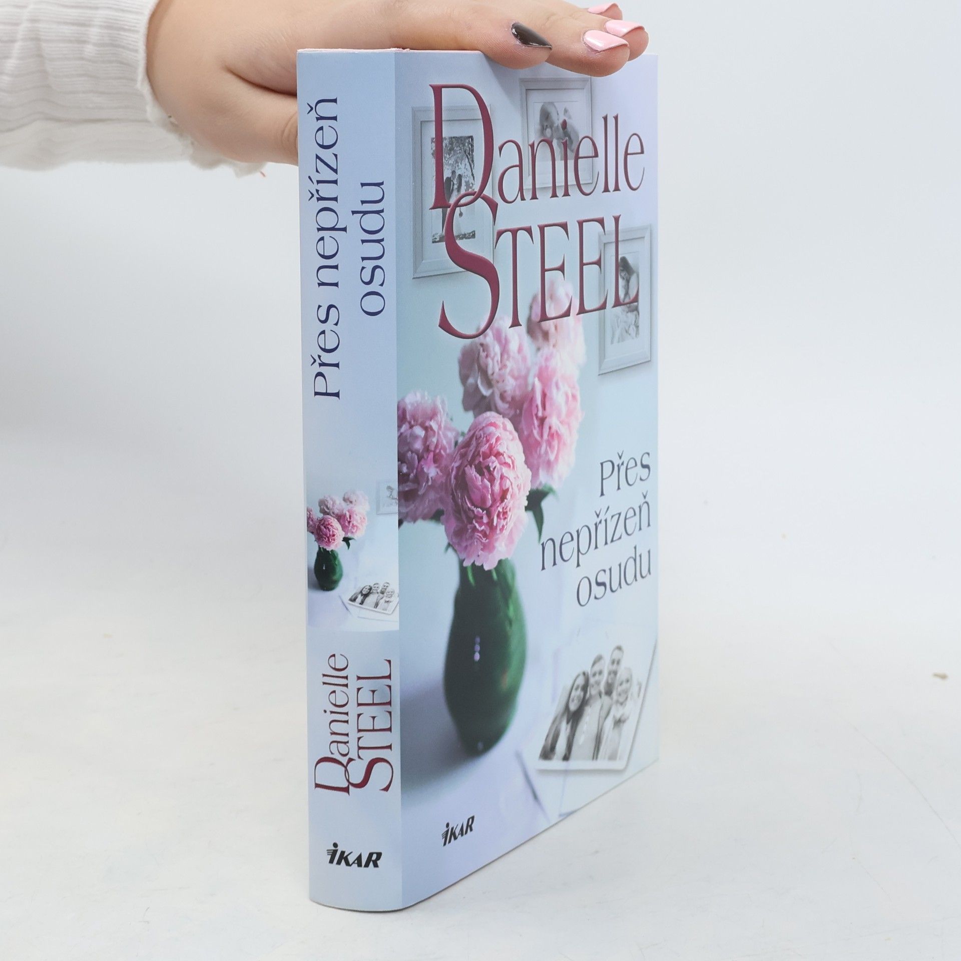 Danielle Steel Přes nepřízeň osudu