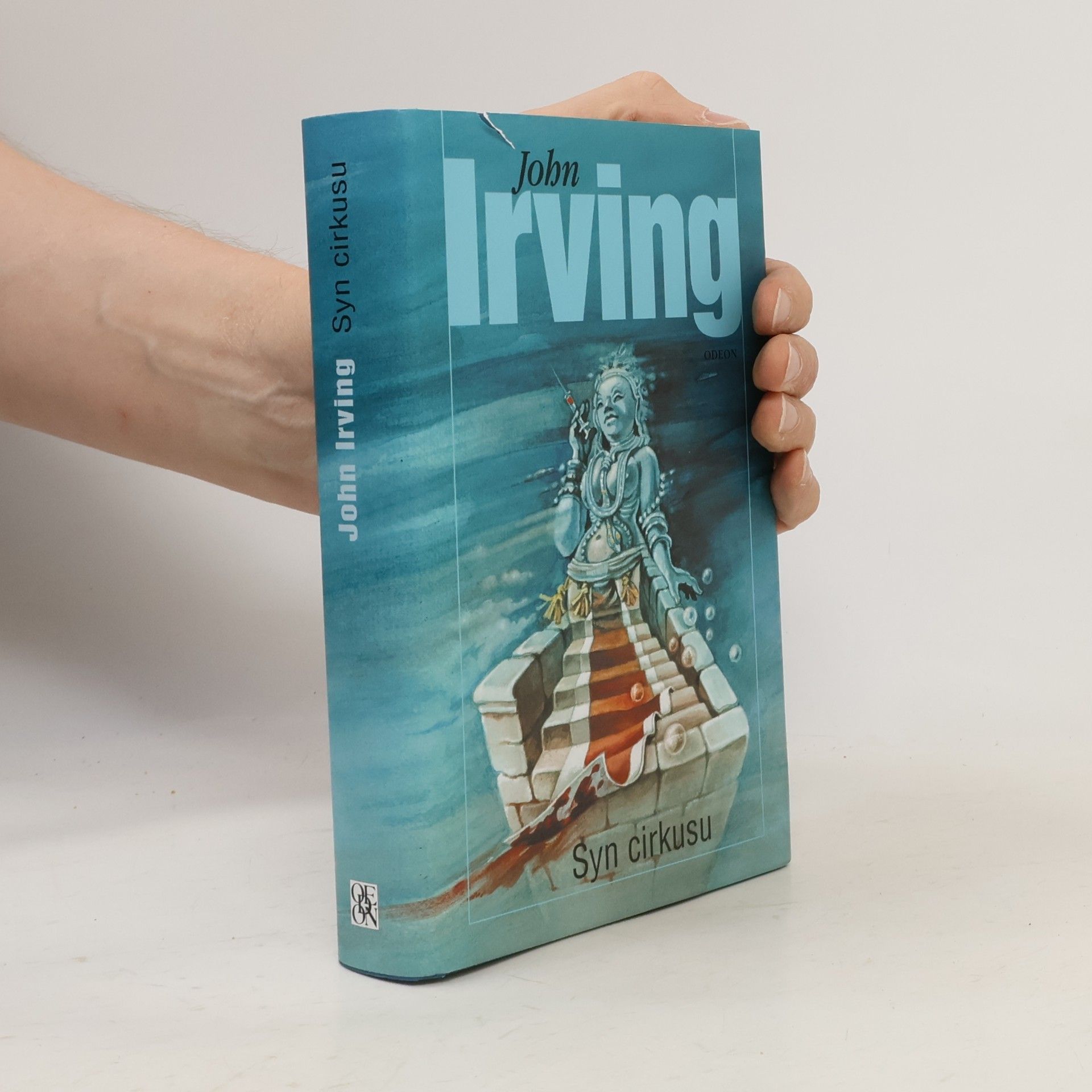John Irving Syn cirkusu