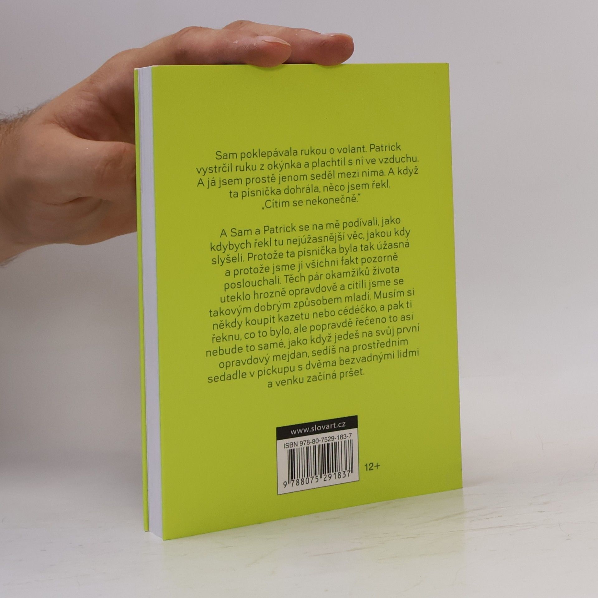 Stephen Chbosky Ten, kdo stojí v koutě