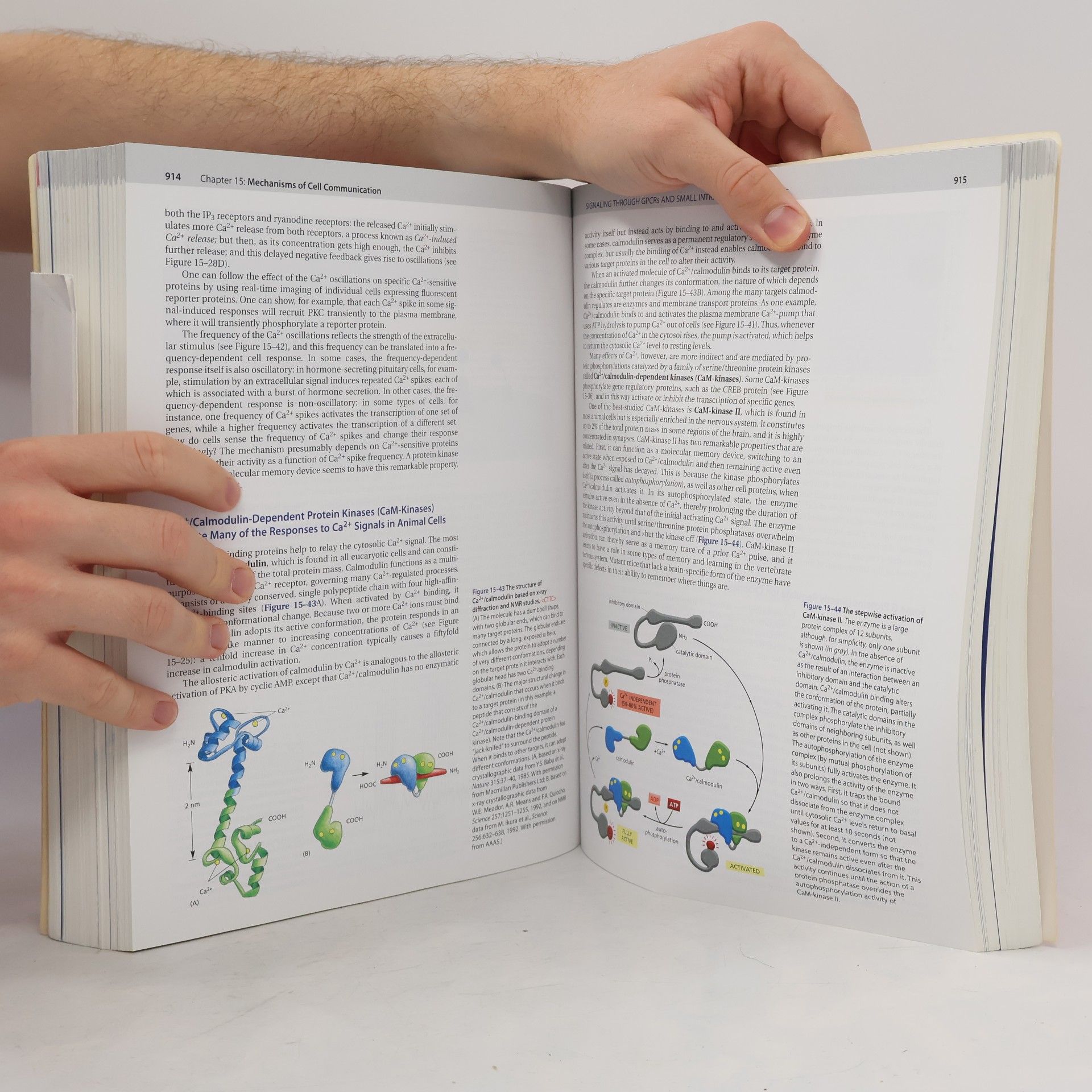 Bruce Alberts Molecular Biology of the Cell