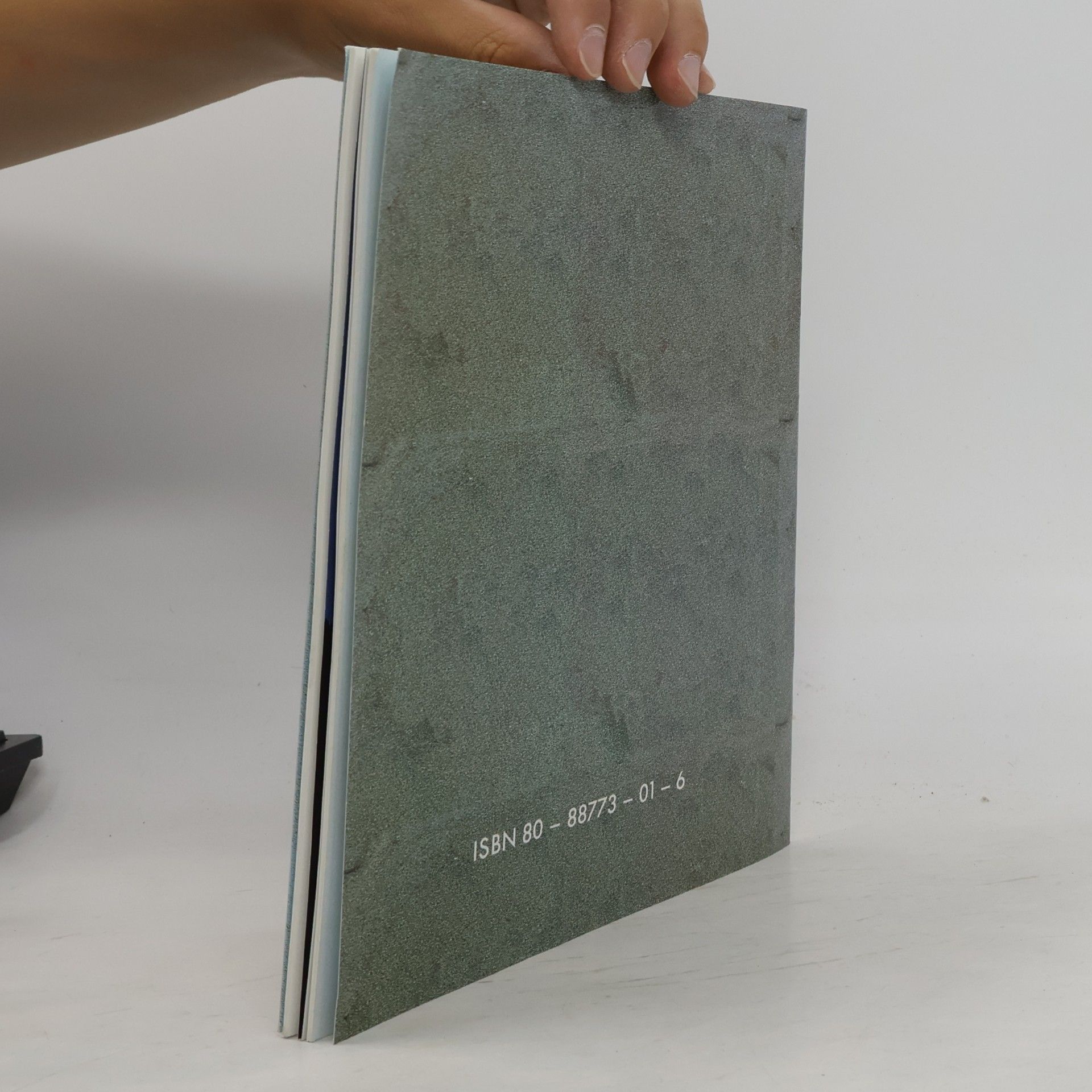 Various authors Považské Múzeum Žilina. Hrad Strečno