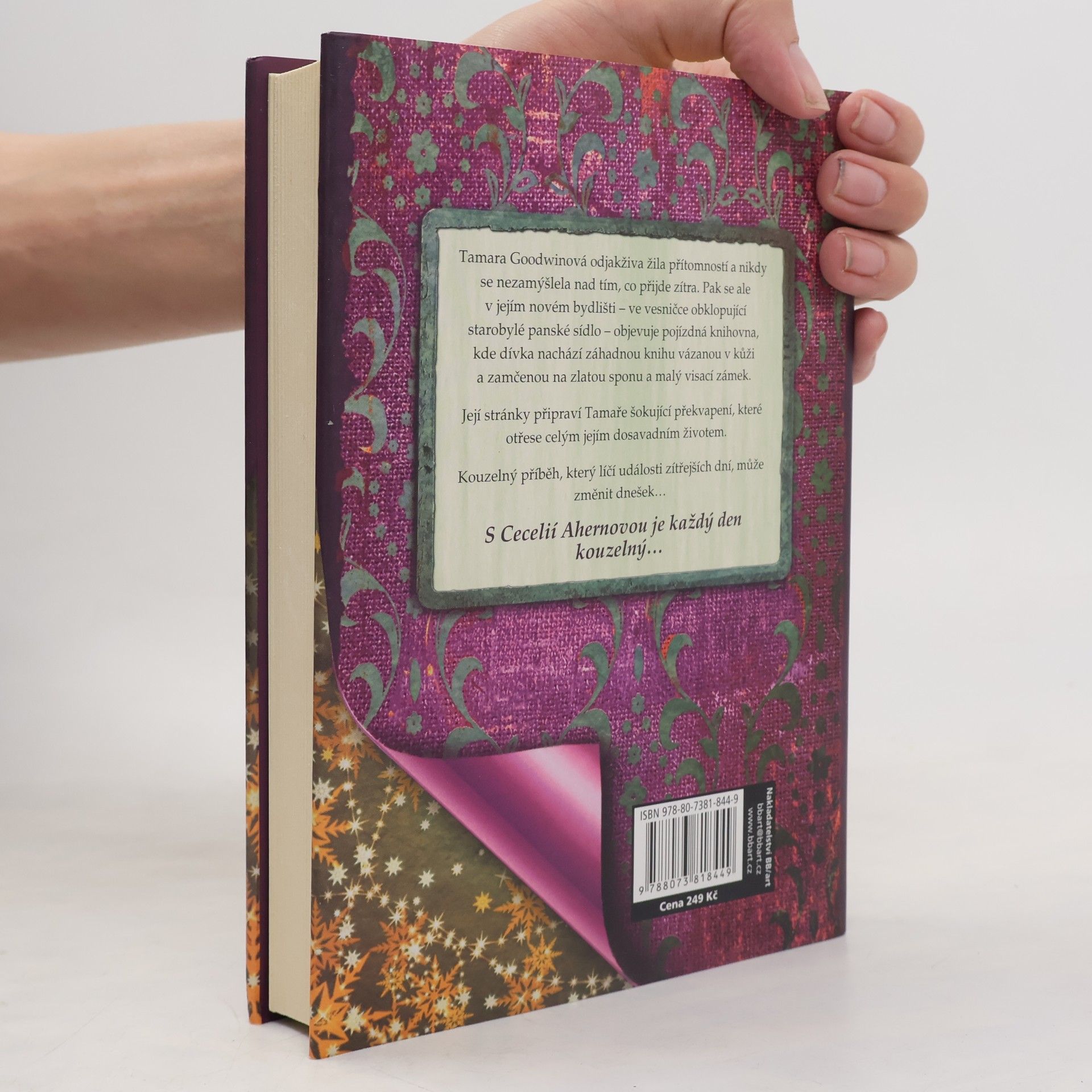 Cecelia Ahern Vzpomínky na zítřek