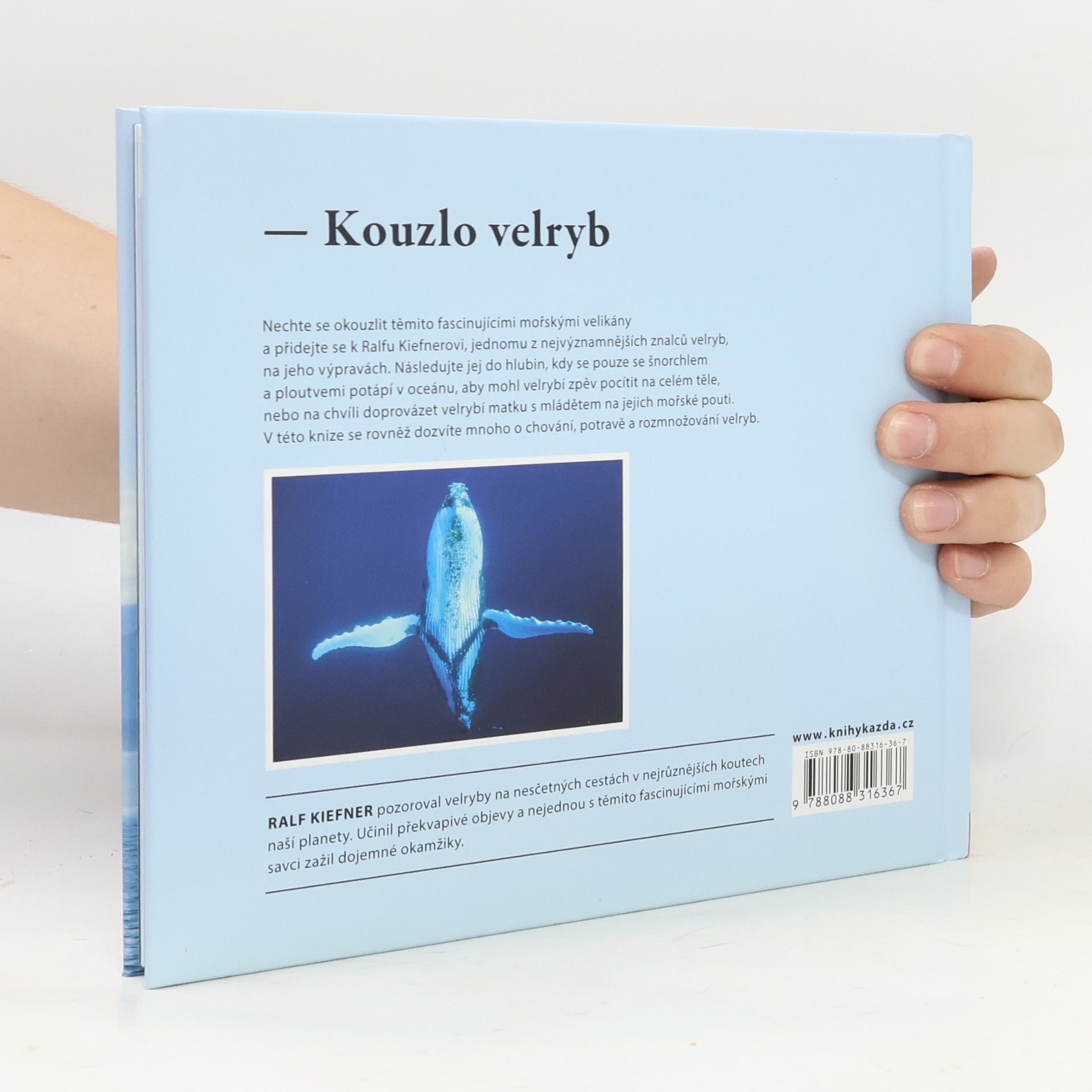Ralf Kiefner Na svou první velrybu - nikdy nezapomeneš