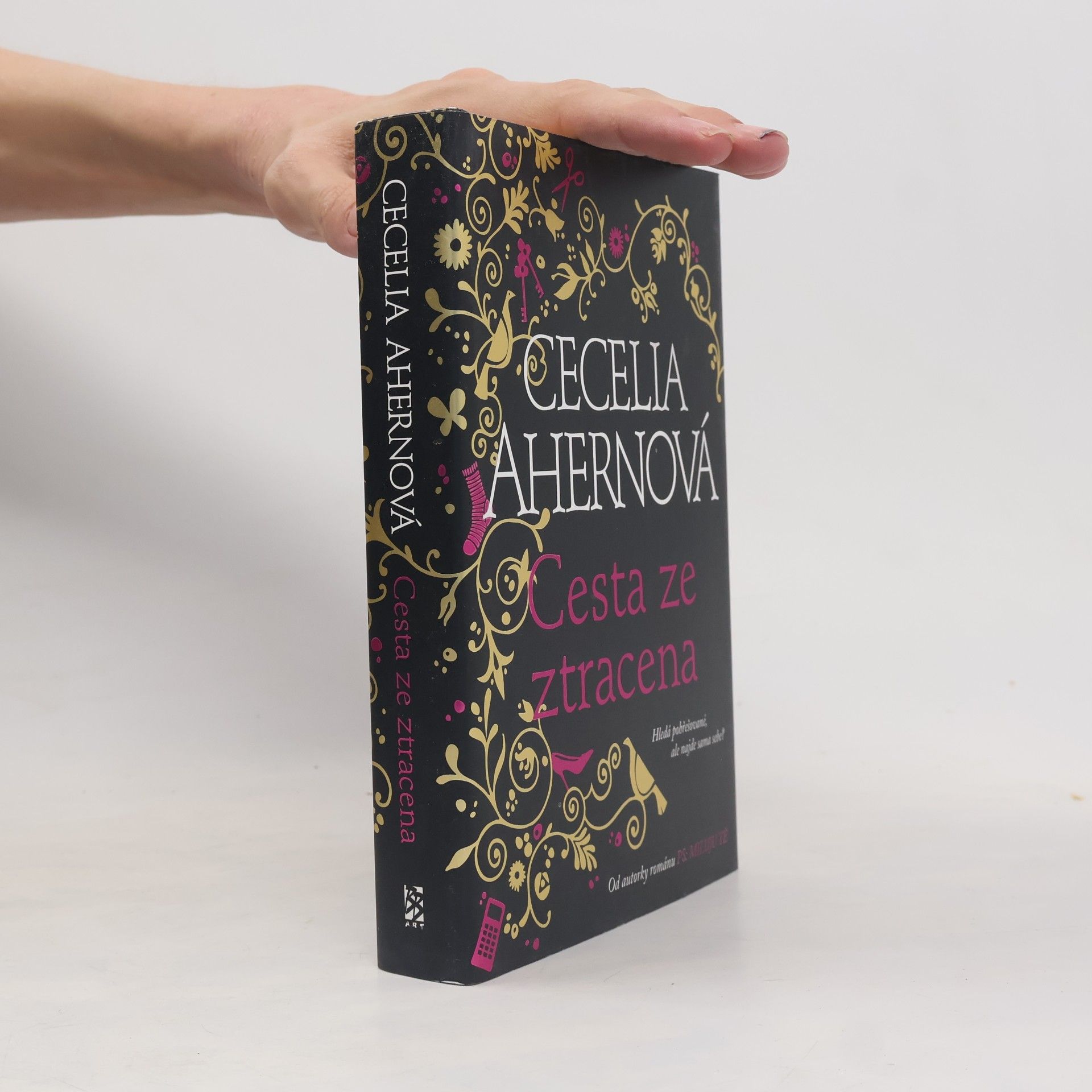 Cecelia Ahern Cesta ze ztracena