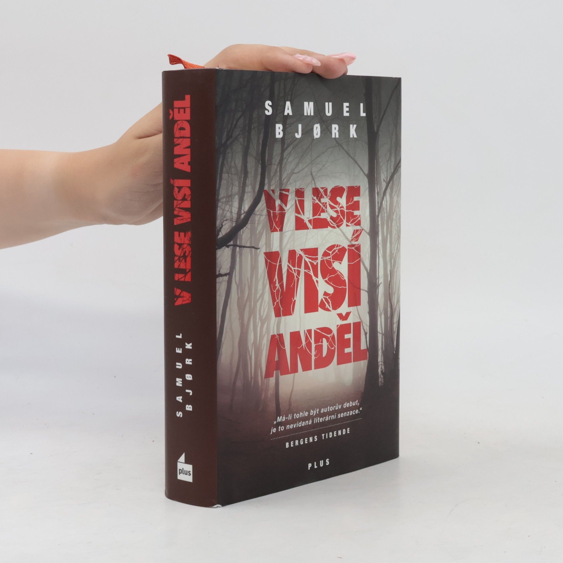 Samuel Bjork V lese visí anděl