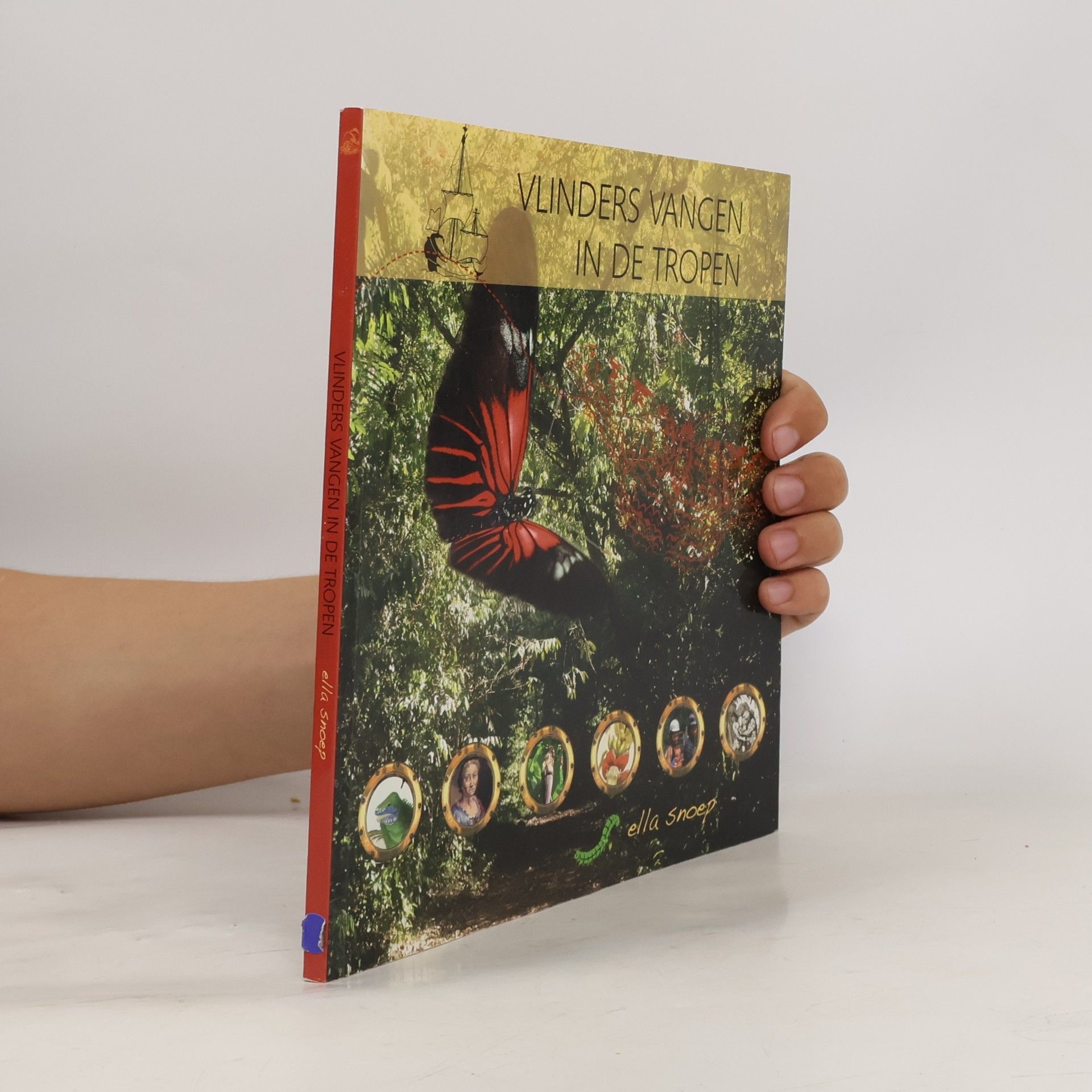 Kinder-kunstboek: Vlinders vangen in de tropen