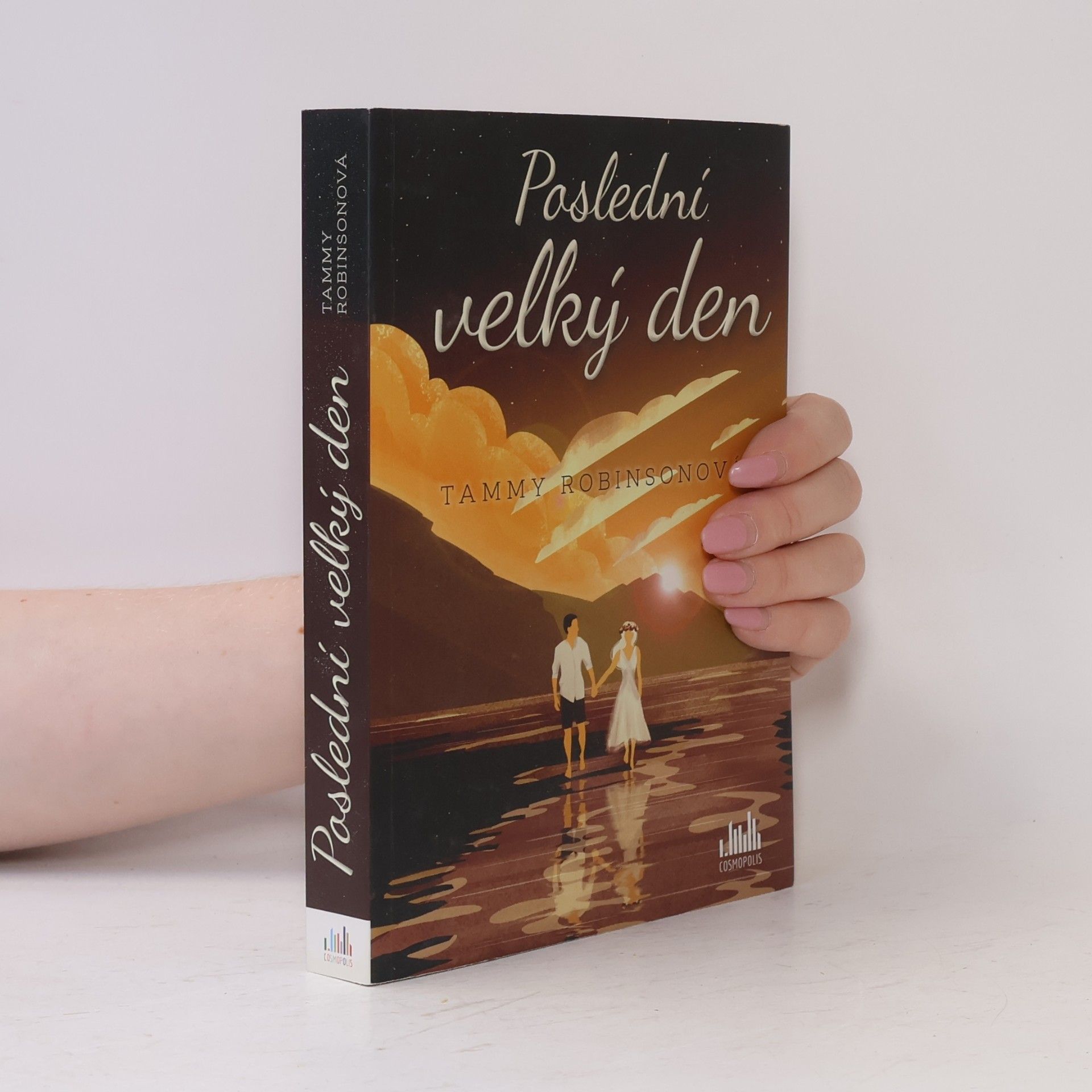 Tammy Robinson Poslední velký den