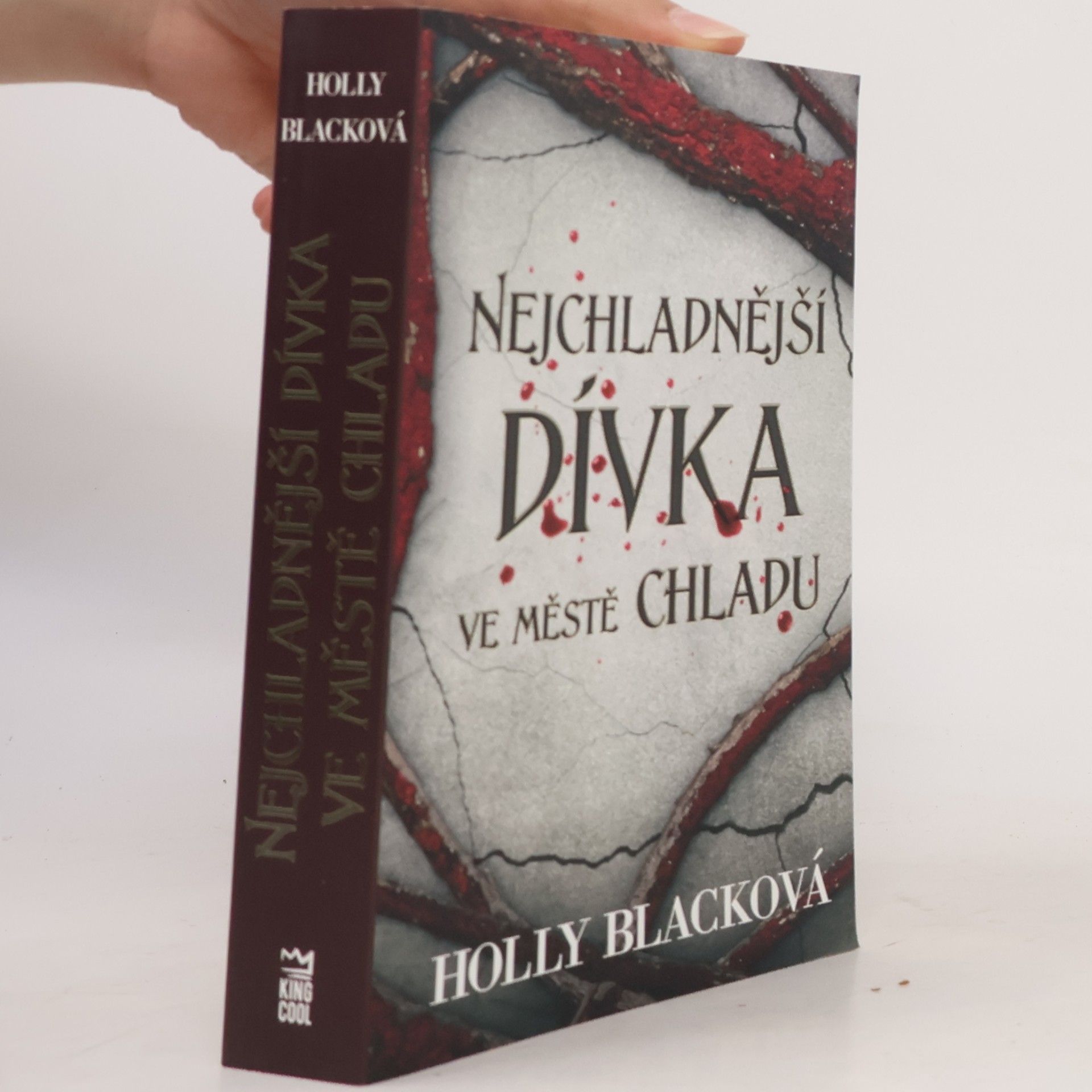 Holly Black Nejchladnější dívka ve městě chladu