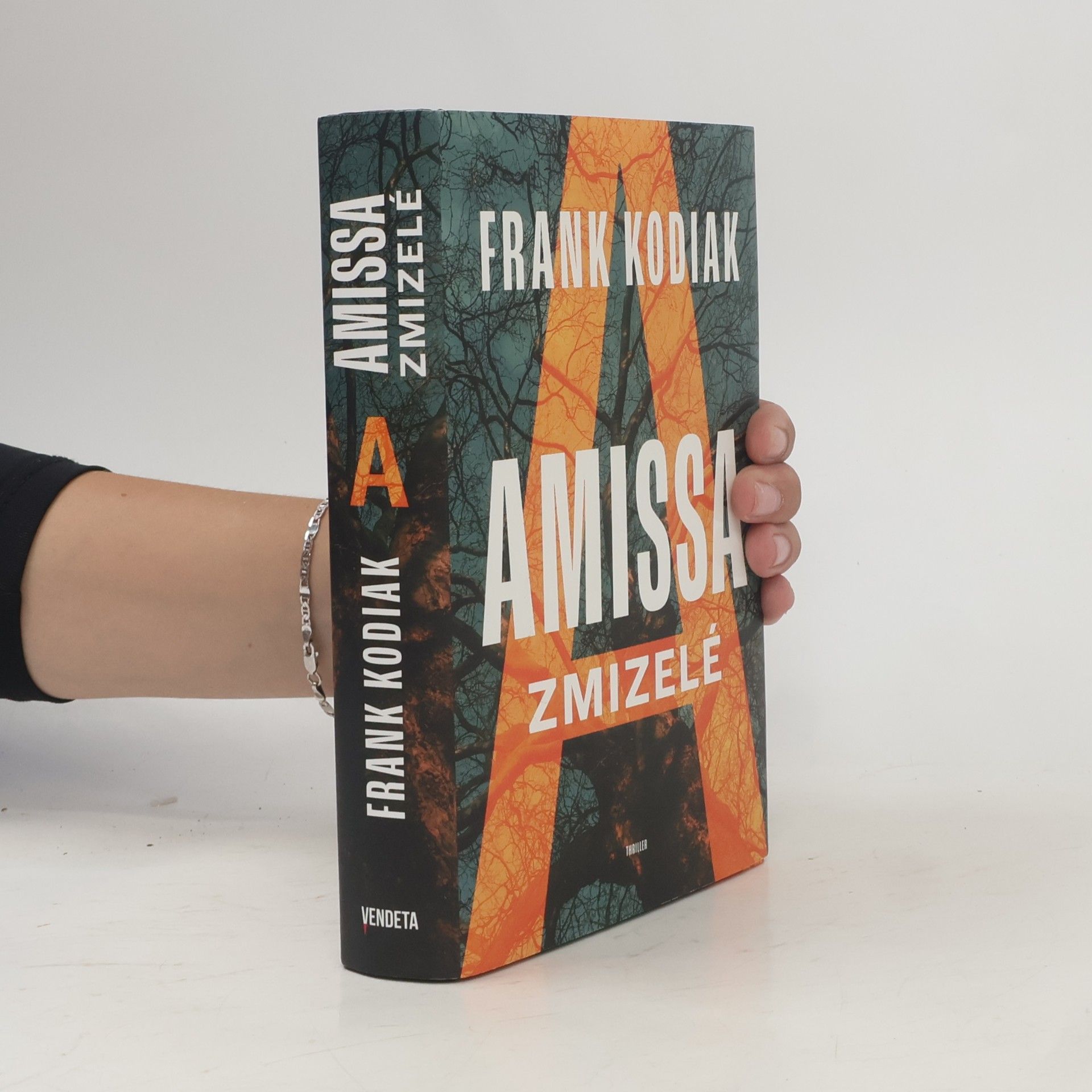 Hendrik Winter Amissa. Zmizelé