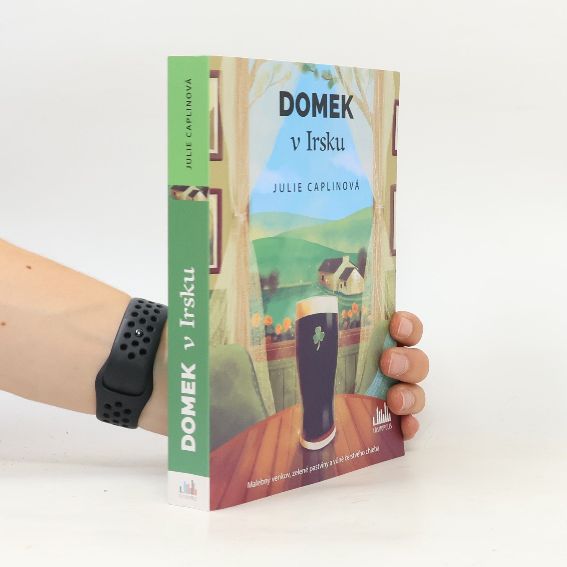 Julie Caplin Domek v Irsku