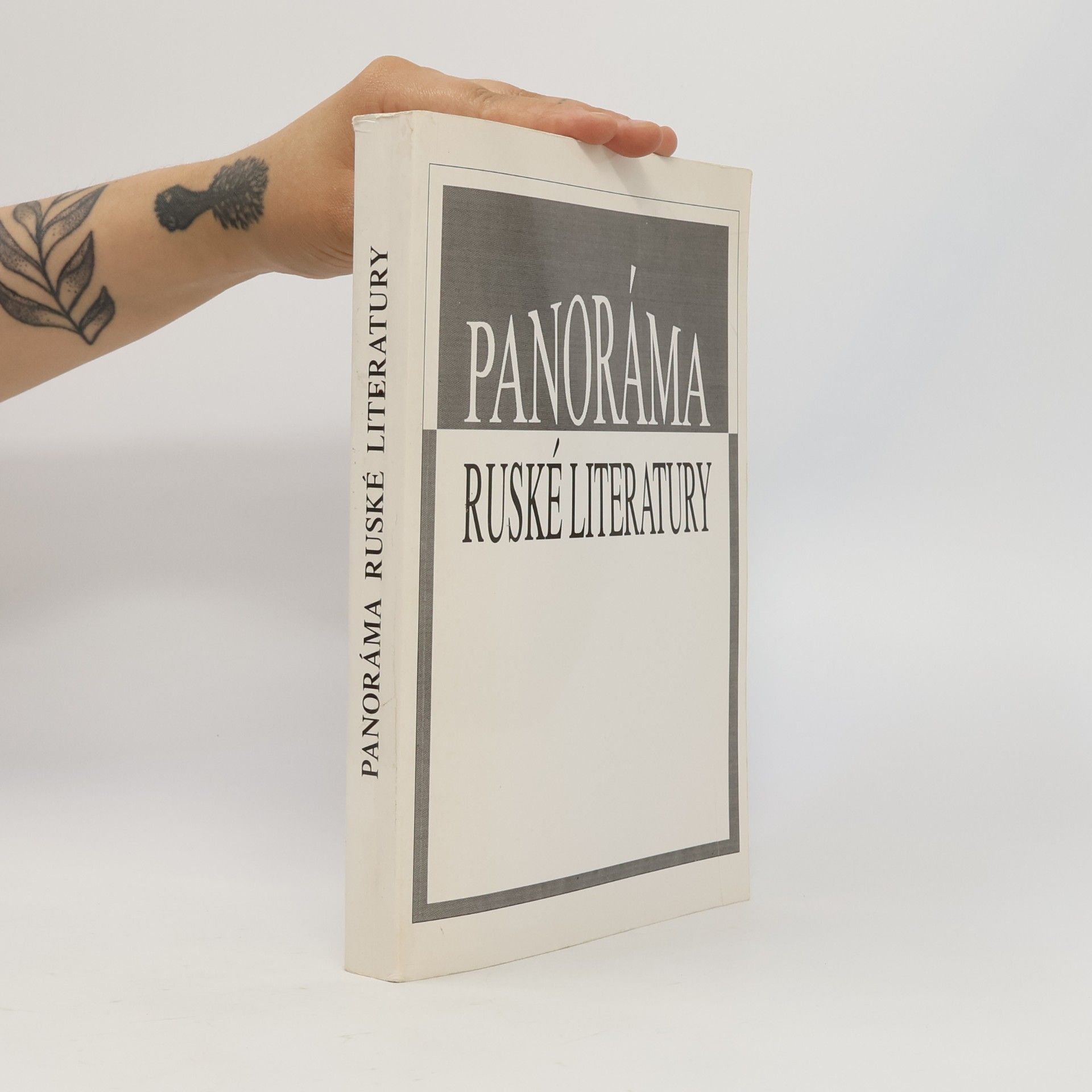 Galina Pavlovna Binová Panoráma ruské literatury