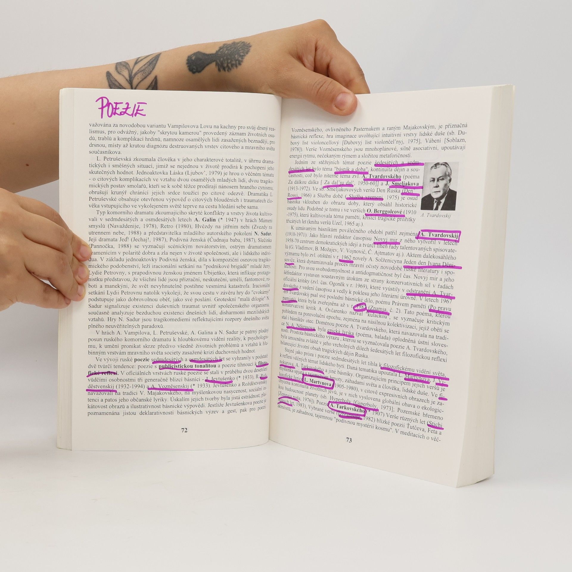 Ivo Pospíšil Panoráma ruské literatury