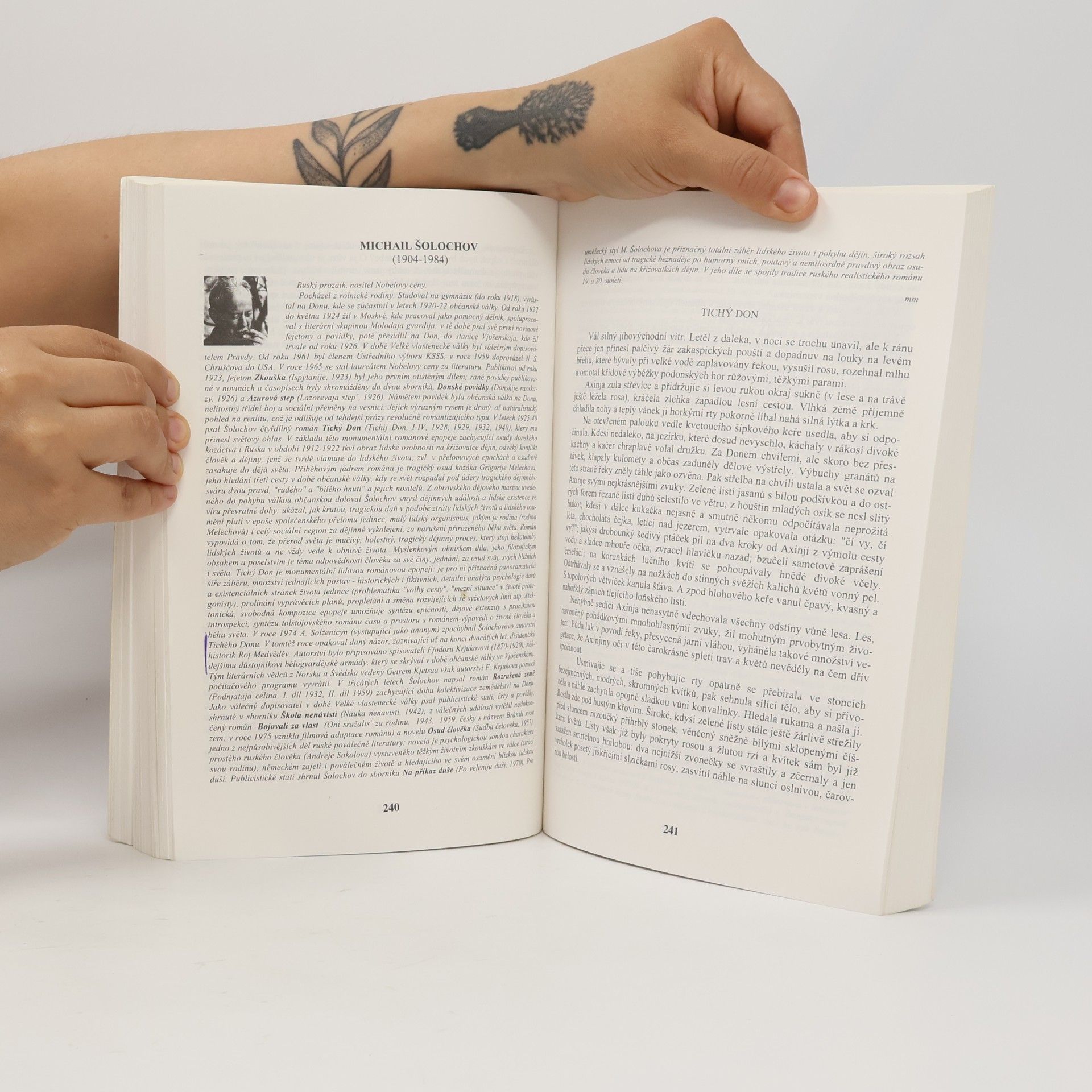 Ivo Pospíšil Panoráma ruské literatury