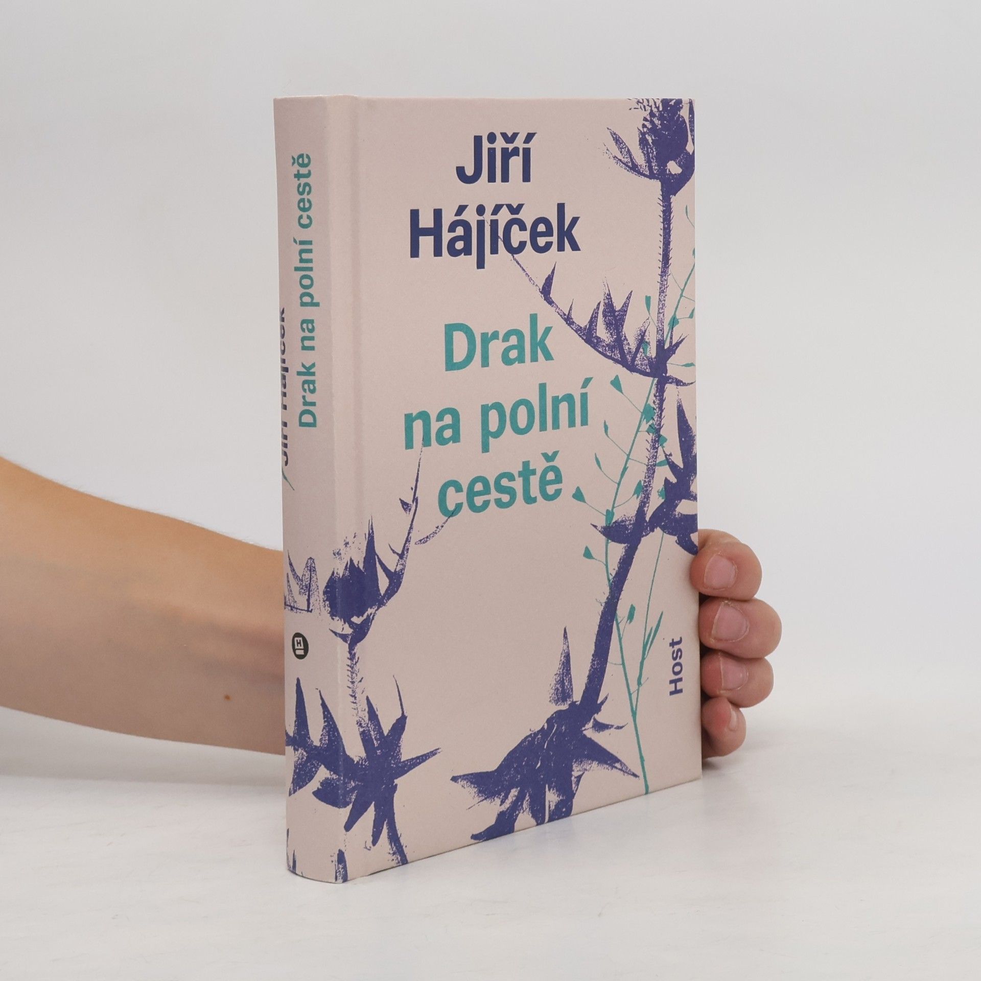 Jiří Hájíček Drak na polní cestě