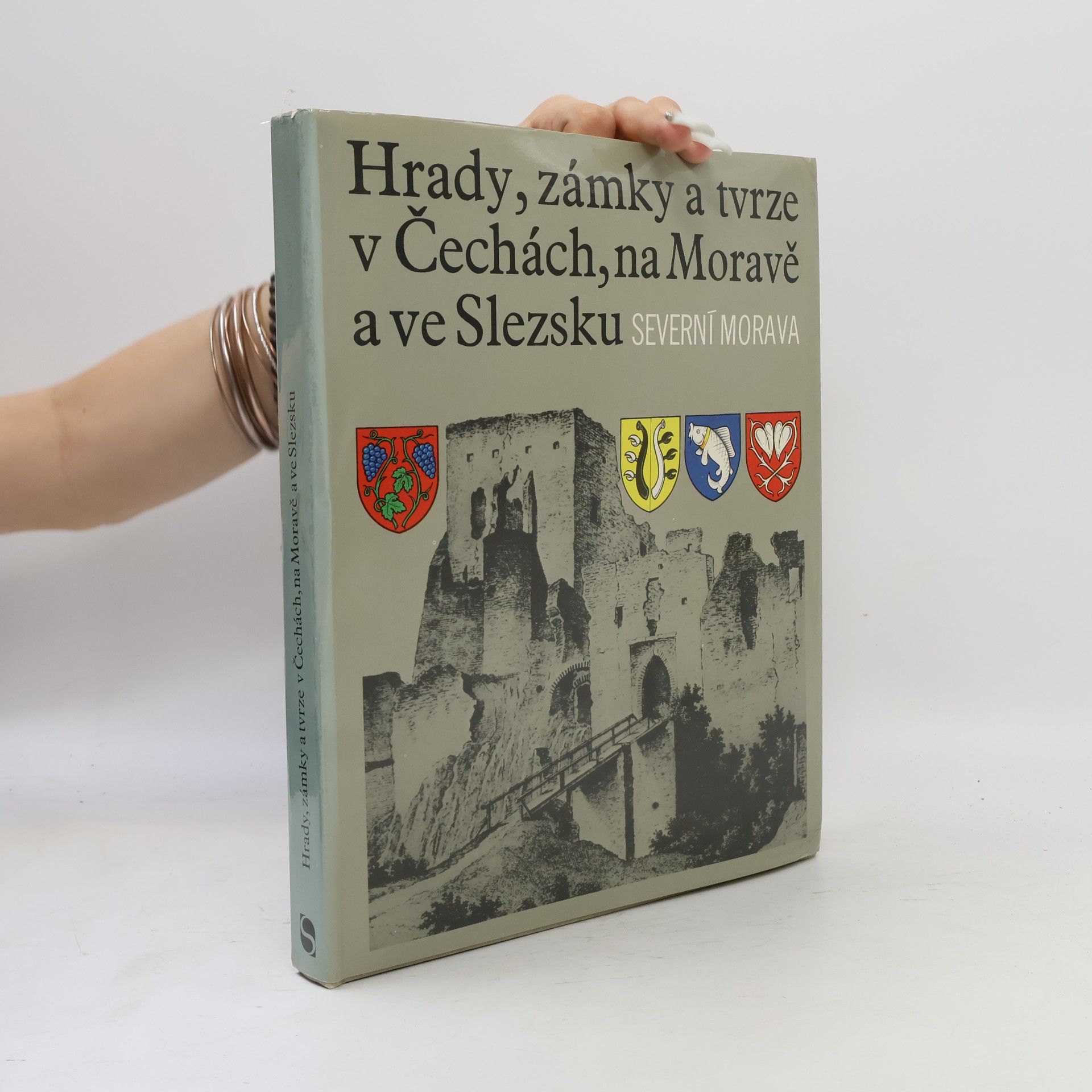 Autorenkollektiv Hrady, zámky a tvrze v Čechách, na Moravě a ve Slezsku II. Severní Morava