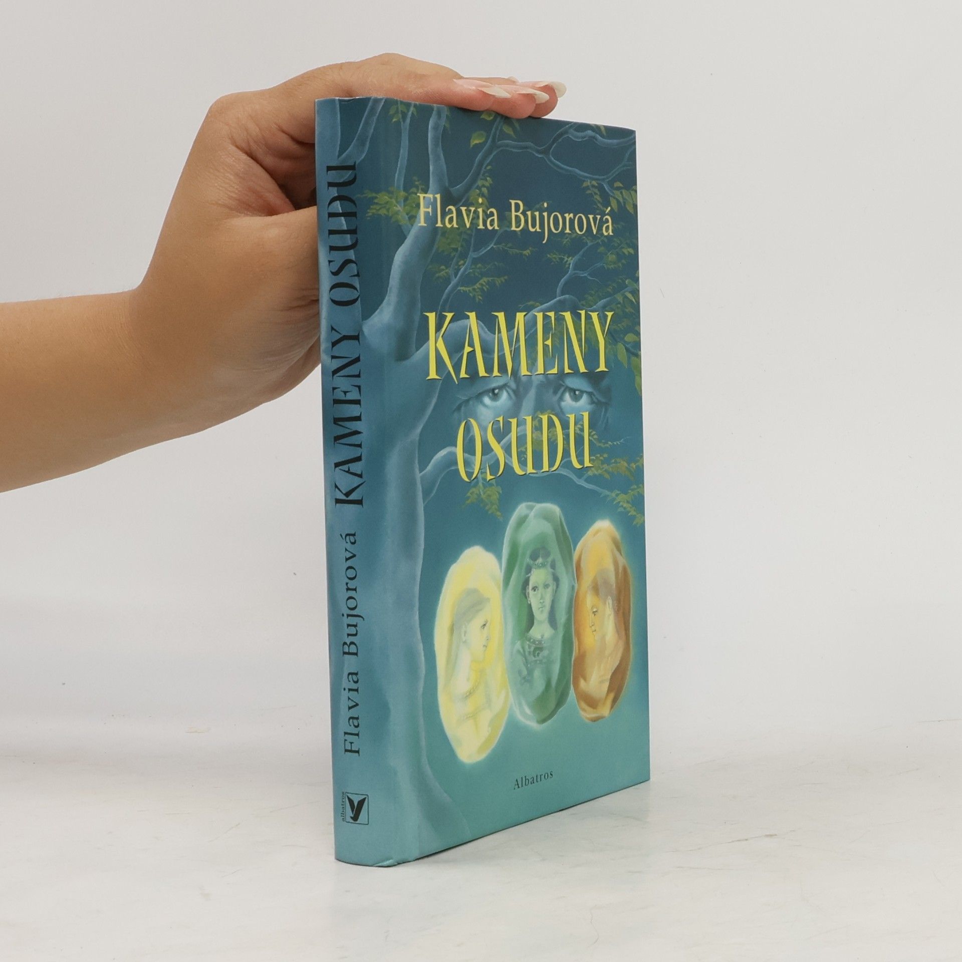 Flavia Bujor Kameny osudu