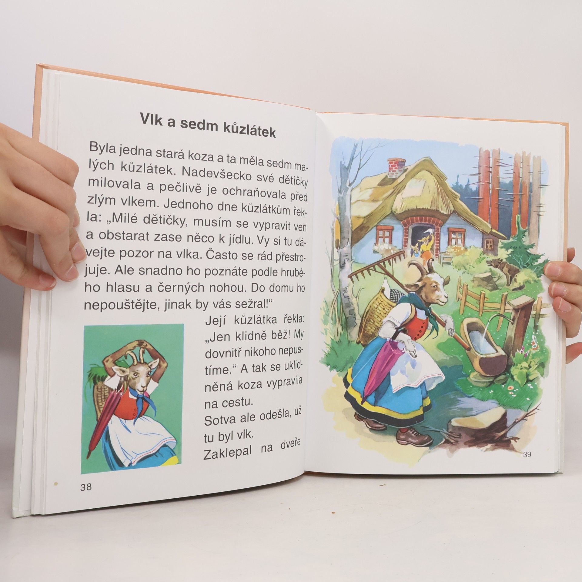 Jacob Grimm Nejkrásnější pohádky bratří Grimmů