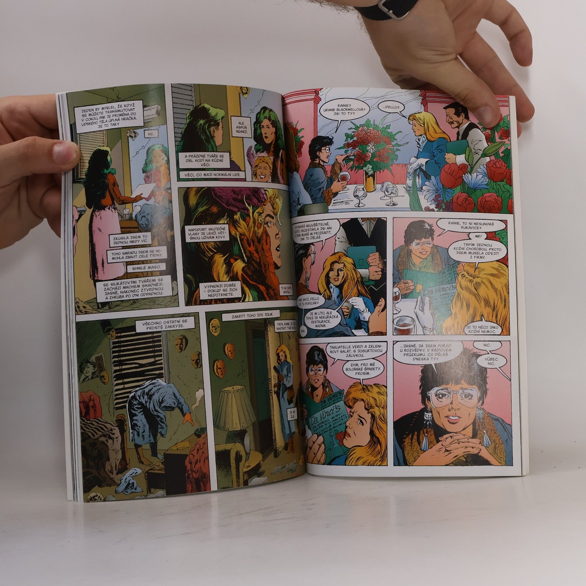 Autores varios Sandman. Krajina snů