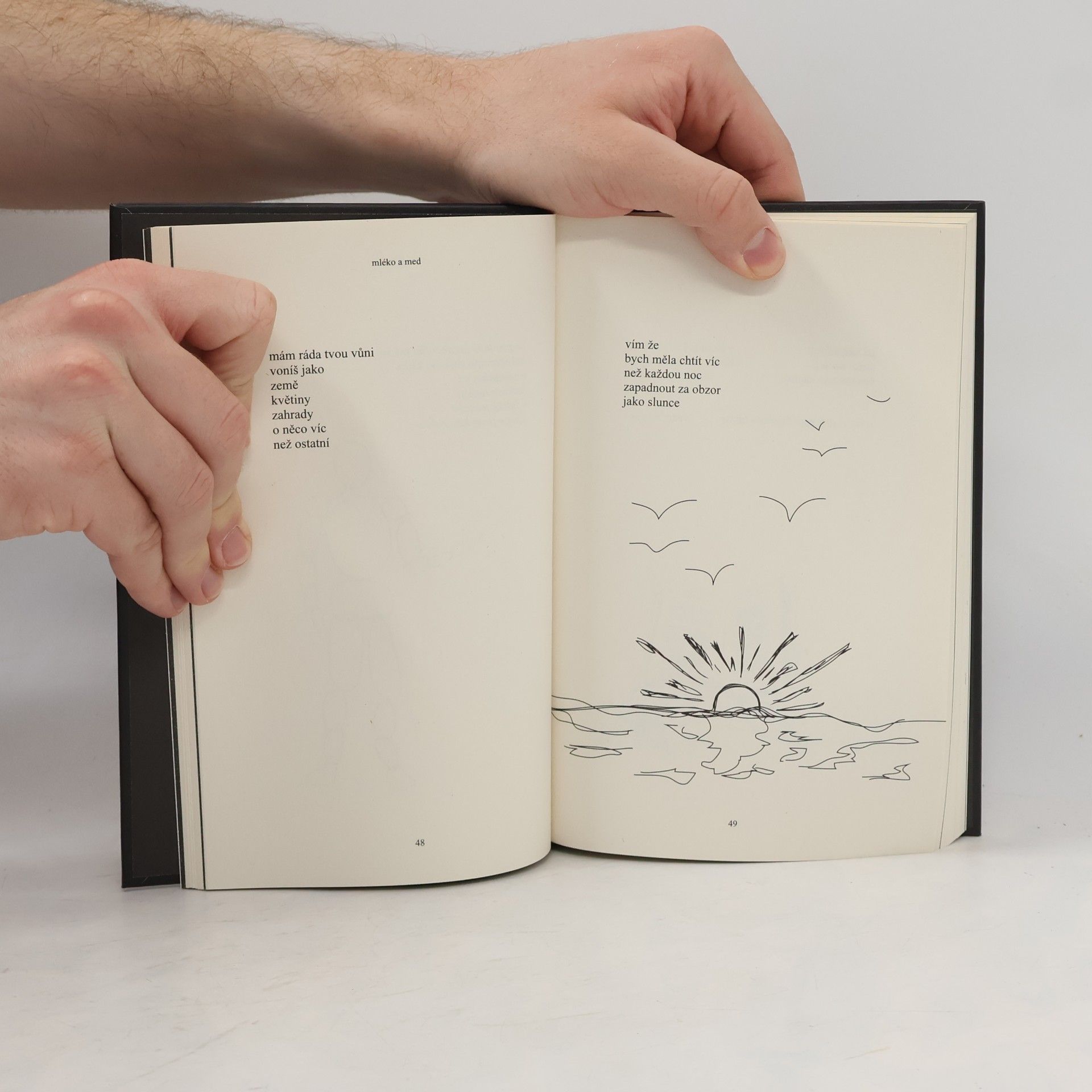 Rupi Kaur Mléko a med