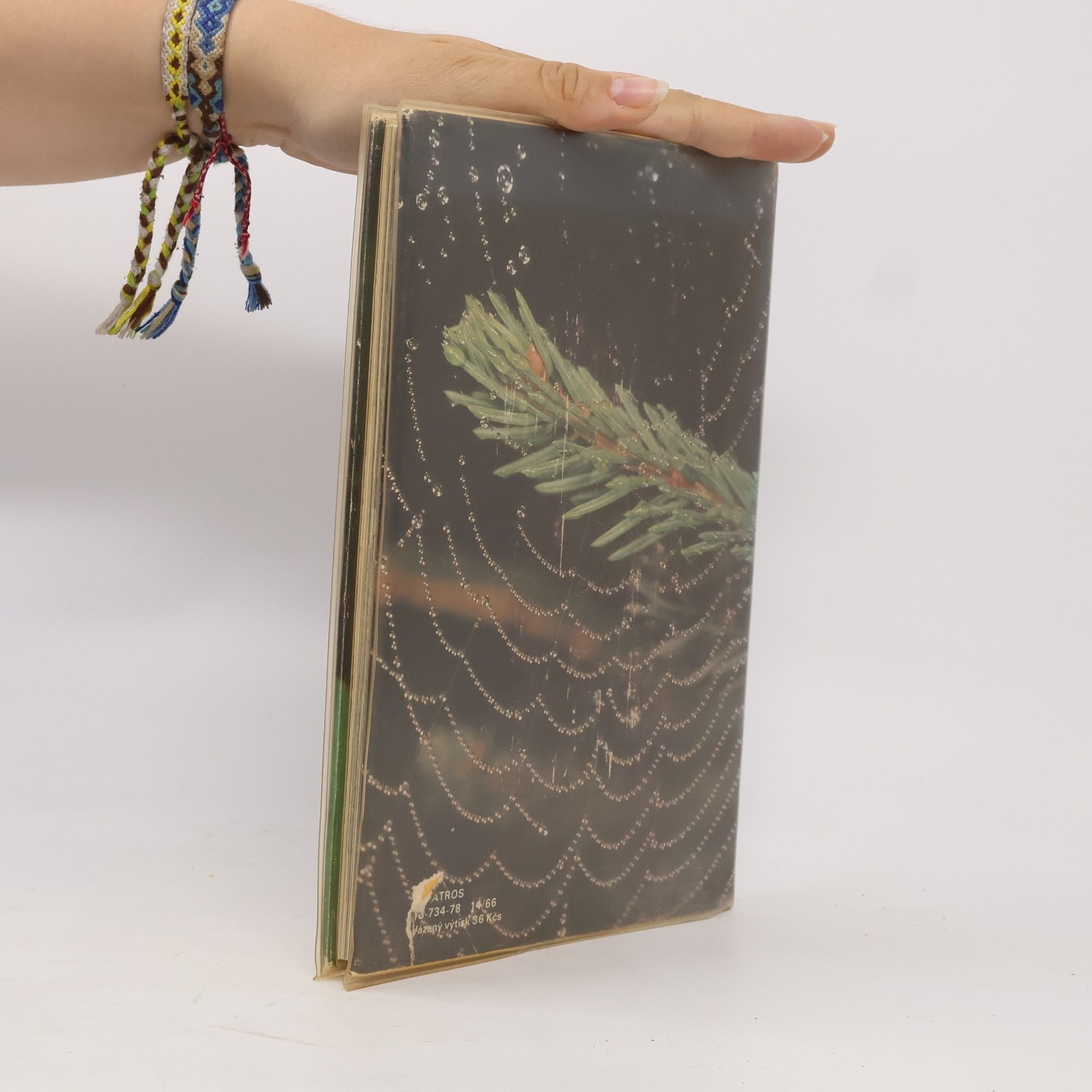 Marcel Safír Hmyz je docela jiný