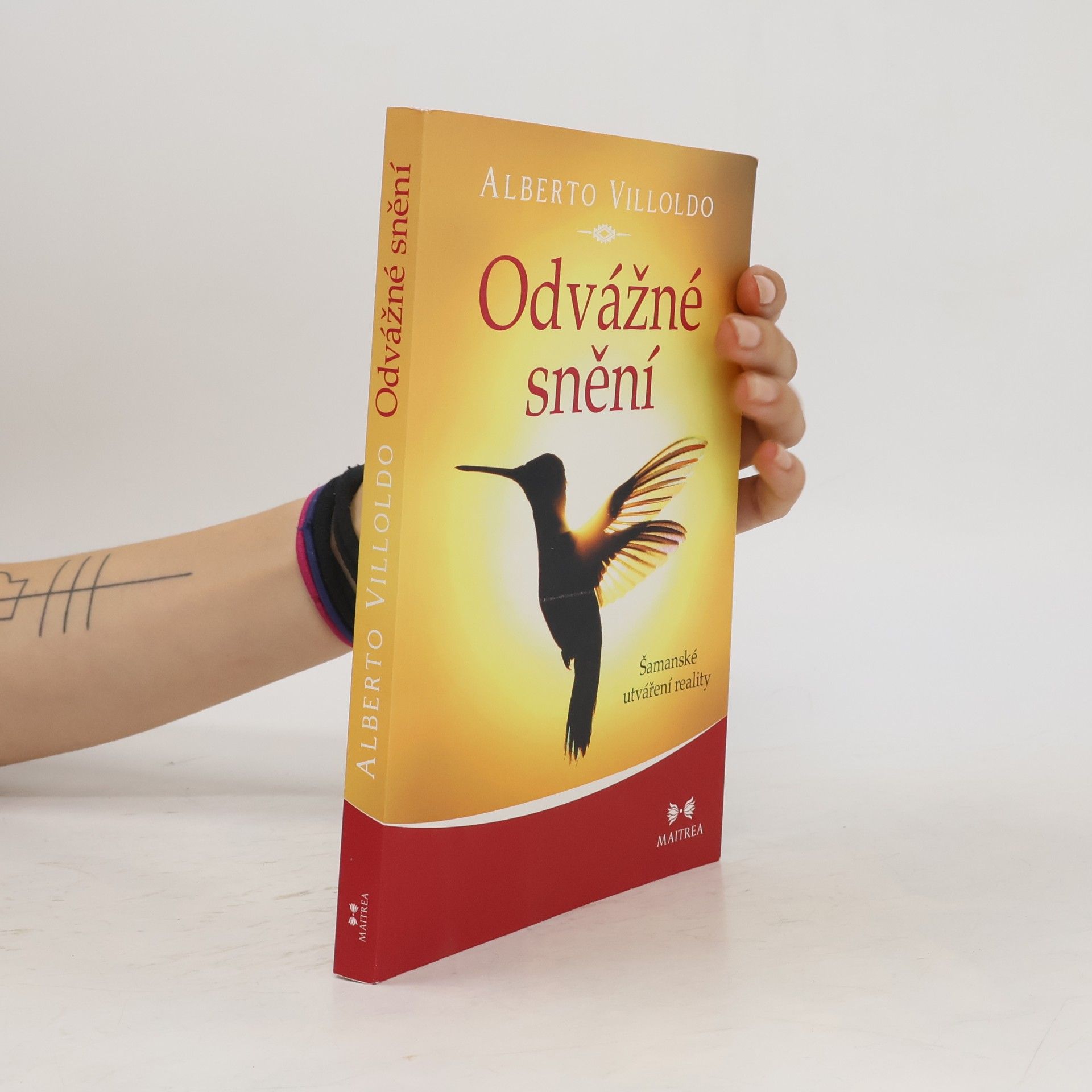 Andrea Hässelbarthová Odvážné snění : šamanské utváření reality