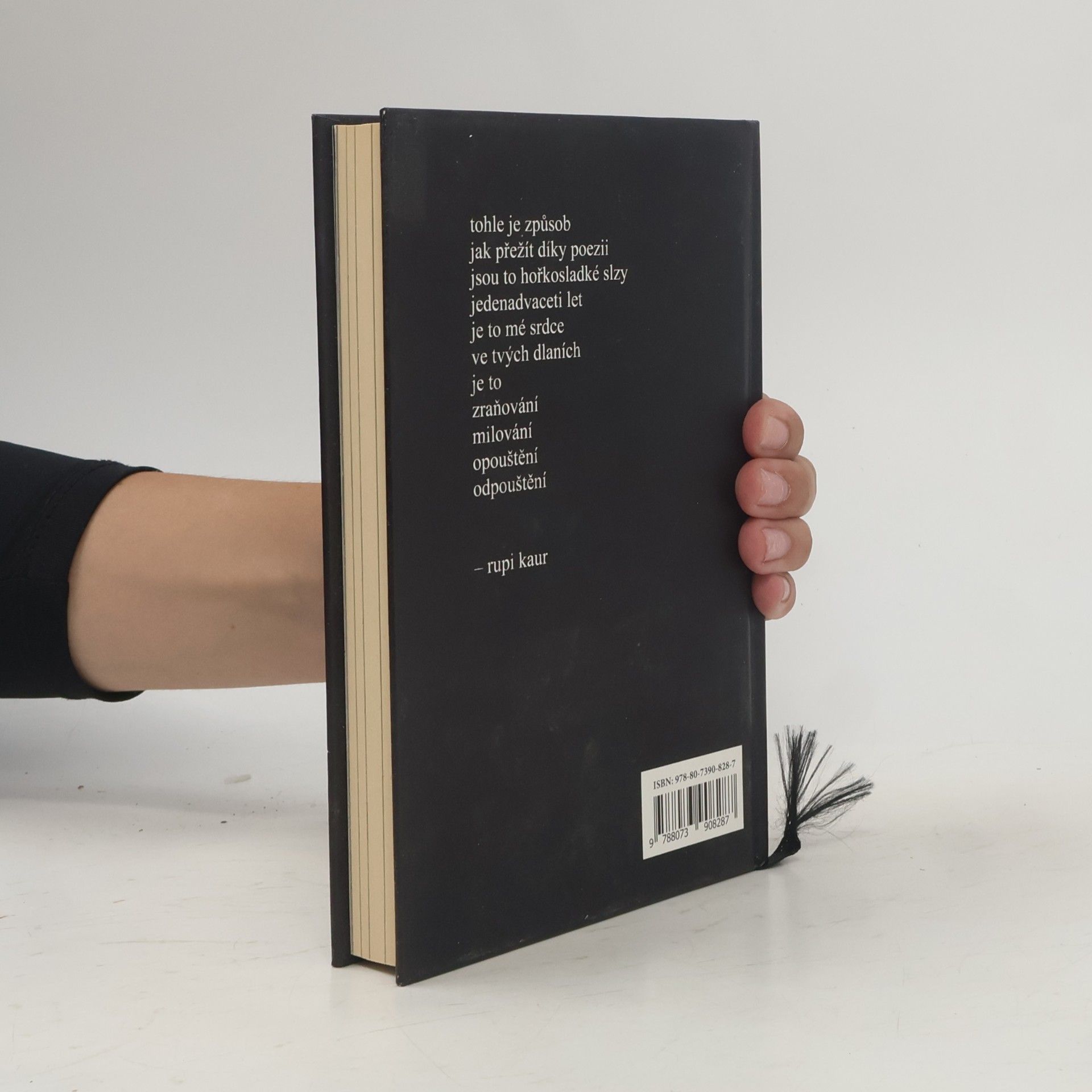 Rupi Kaur Mléko a med